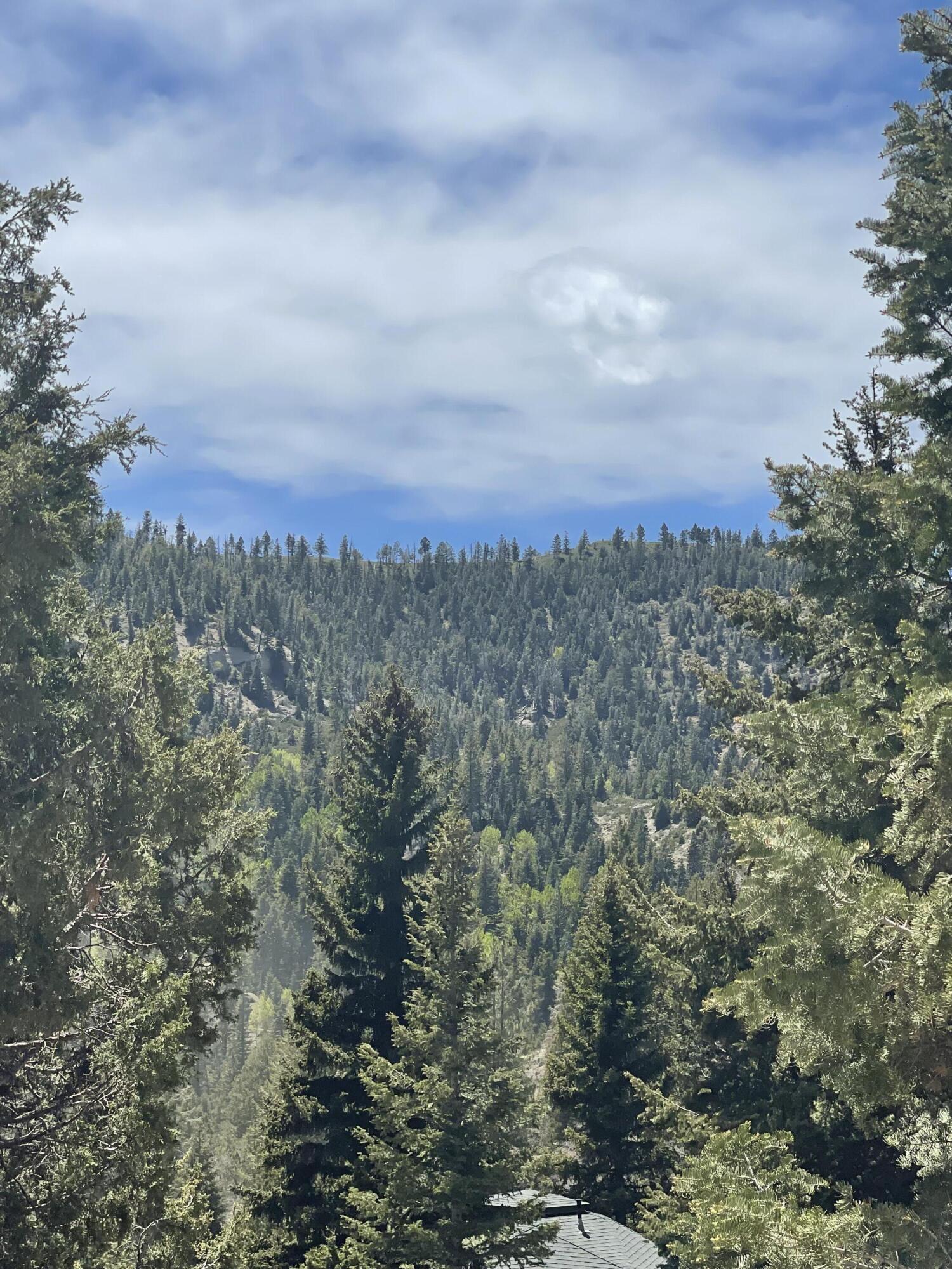 ASPEN MEADOWS - Land