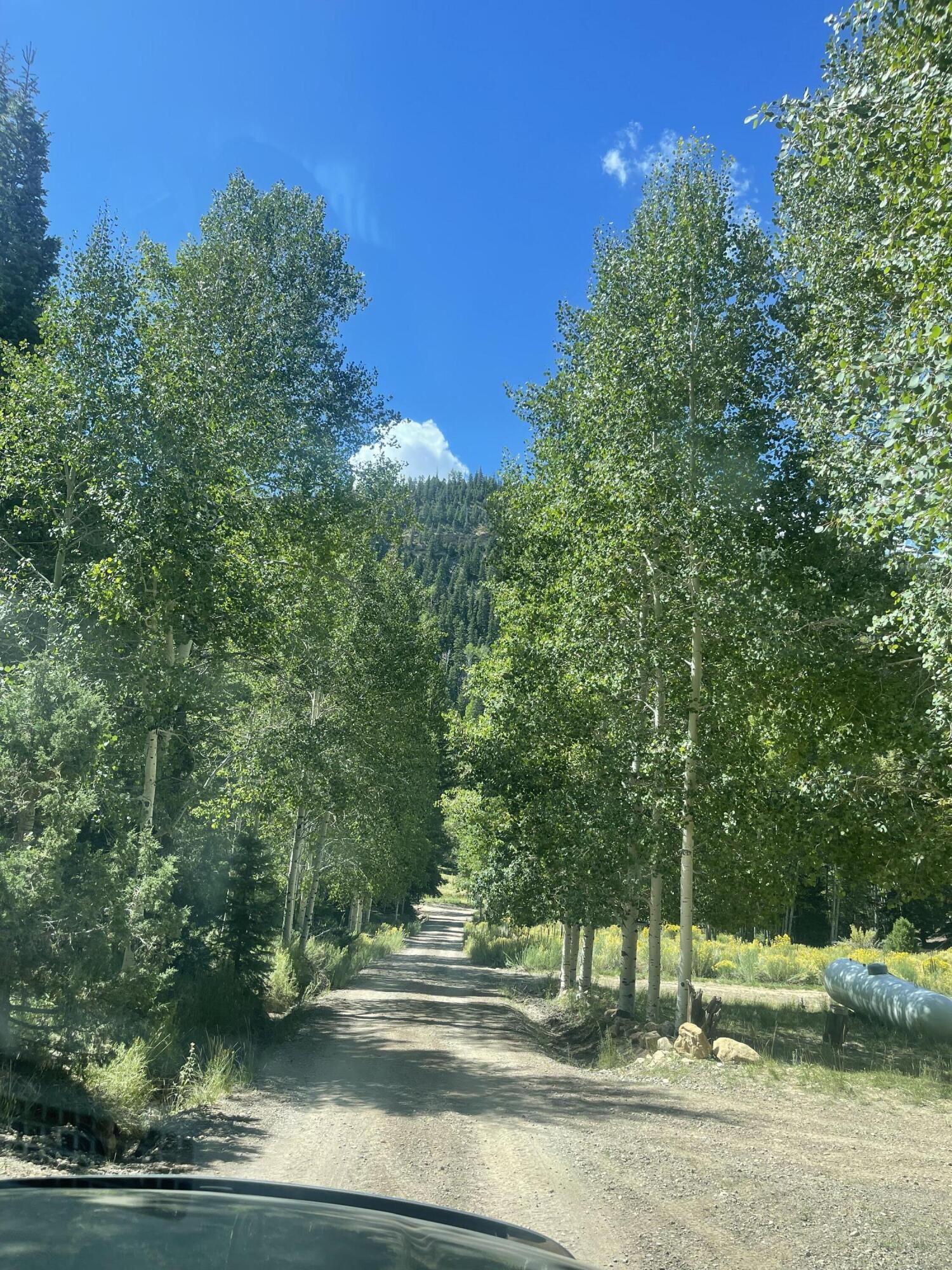 ASPEN MEADOWS - Land