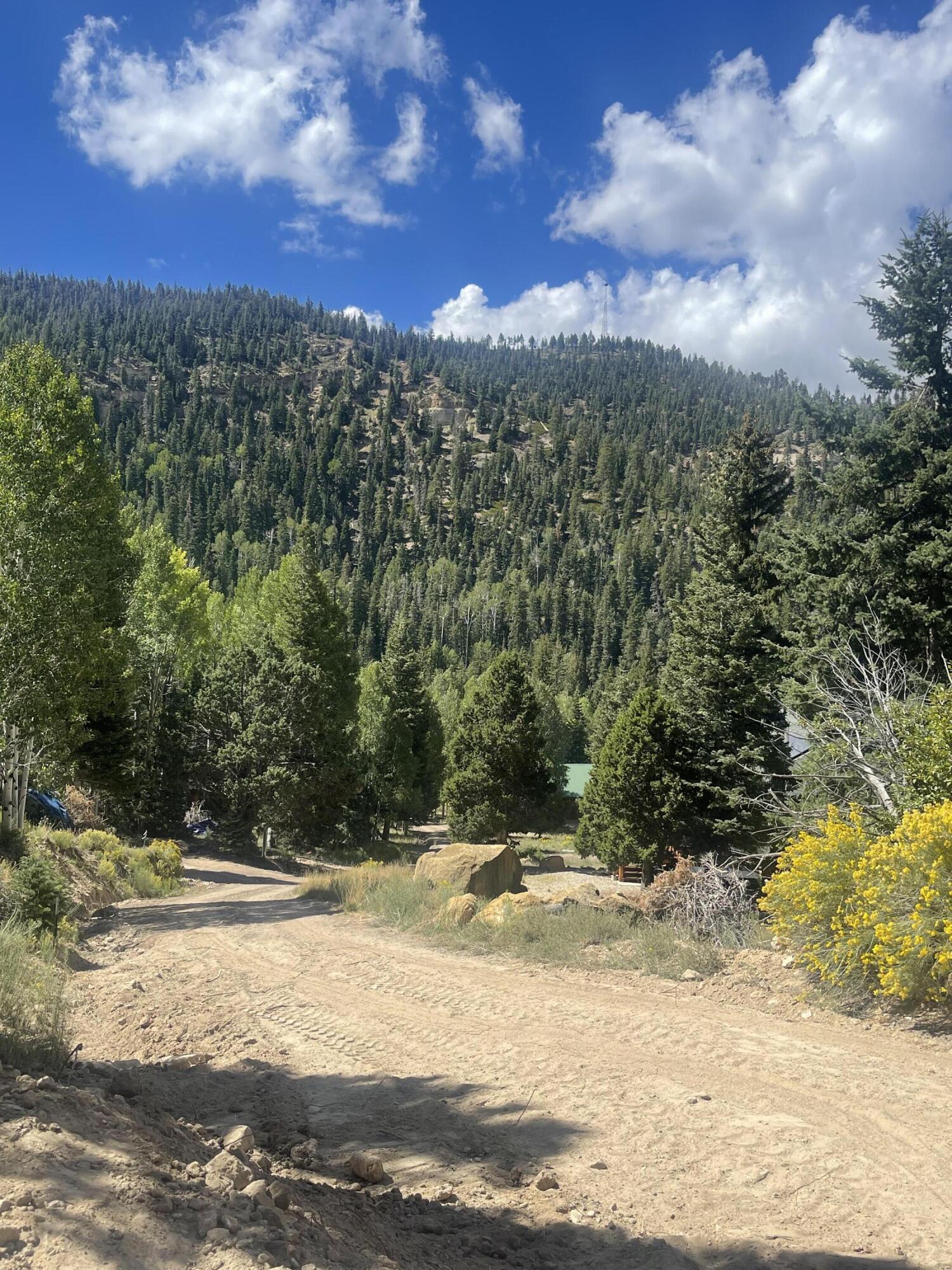 ASPEN MEADOWS - Land