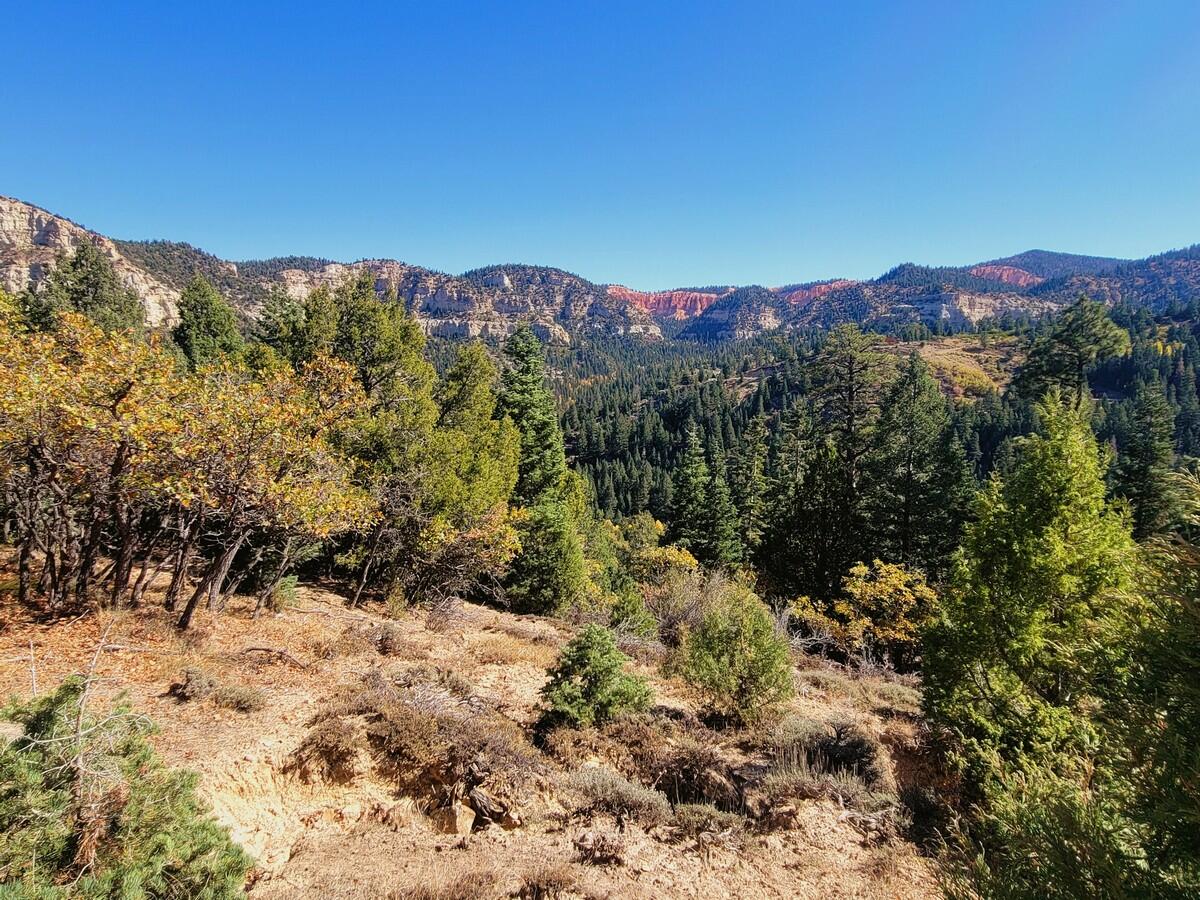 Nice building lot in the Bryce Woodlands Estates Subdivision with views of the surrounding mountains. This lot is ready to build your dream cabin. If you are looking for a place to get away from the noise, this is it. The lot is sloped which could provide a view of the mountains. Power is in the street and could be brought to the property. Water is hauled in by the property owner and stored in a water tank at the property. Septic systems/tanks are used in this area. Access to this lot in the winter months is by snowmobile. Nicely wooded with pine and oak trees makes this lot a great place to rest and relax in the mountains. Bryce Woodlands Estates is a small hidden subdivision located on the back side of Bryce Canyon. You will find it tucked away under some gorgeous rock formations just off scenic Highway 89. Wildlife is abundant and enjoyed by all; trophy-sized deer roam this area and are often seen playing in the peaceful park within this subdivision.
