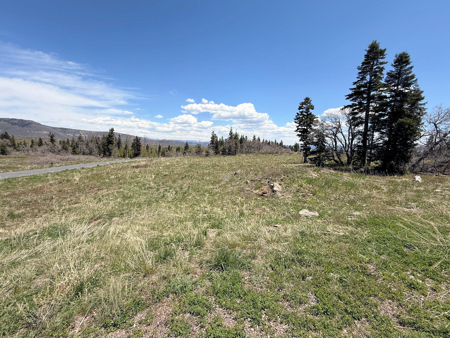 WHISPERING PINES SUB - Land