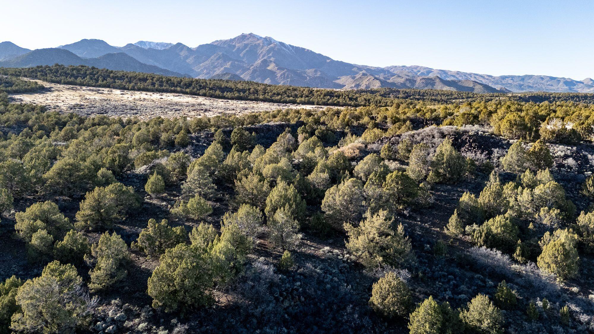 KOLOB RANCH - Land