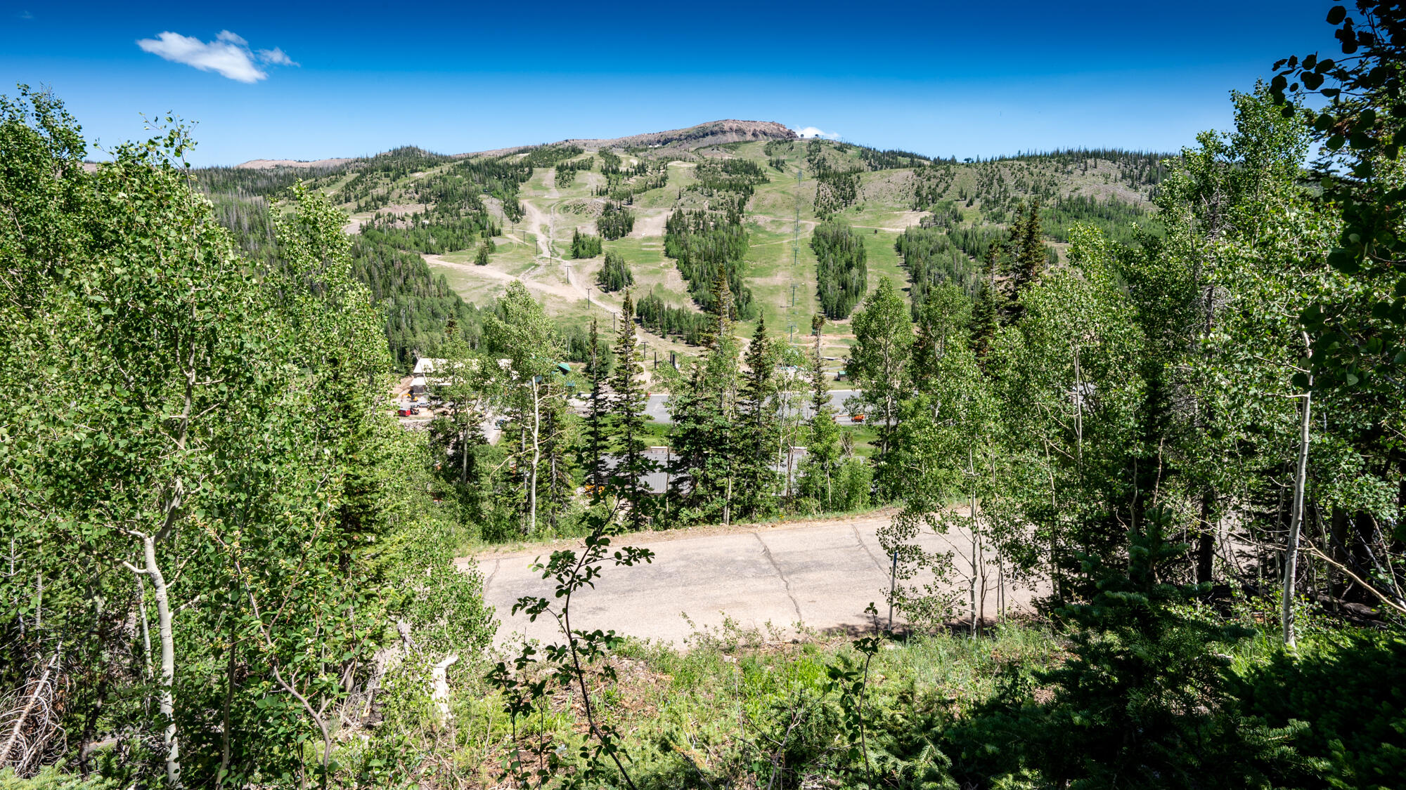 Premium Half-Acre Mountain Lot with Stunning Views - This exceptional half-acre parcel offers an unparalleled opportunity to build your mountain retreat. With over 200 feet of town-maintained road frontage and 110 feet of depth, the property provides ample space and flexibility for your vision. Key Features include Breathtaking Panoramas: Enjoy unobstructed vistas of Brian Head Peak and the renowned Giant Steps Slopes from this perfectly positioned lot. With versatile building options, this natural topography and generous size creates multiple possibilities for home placement, ensuring you can design the perfect layout while preserving those spectacular mountain views and strategically situated to guarantee your views remain protected from future development. All essential utilities are already available in the street, streamlining your building process. The town provides year-round snow removal on the maintained road, so you can focus on enjoying mountain life without winter upkeep concerns. Visit the property and climb the existing steps to envision the elevated perspective from your future home's main level. This is more than just a building lot, it's your gateway to the mountain lifestyle you've been dreaming of.