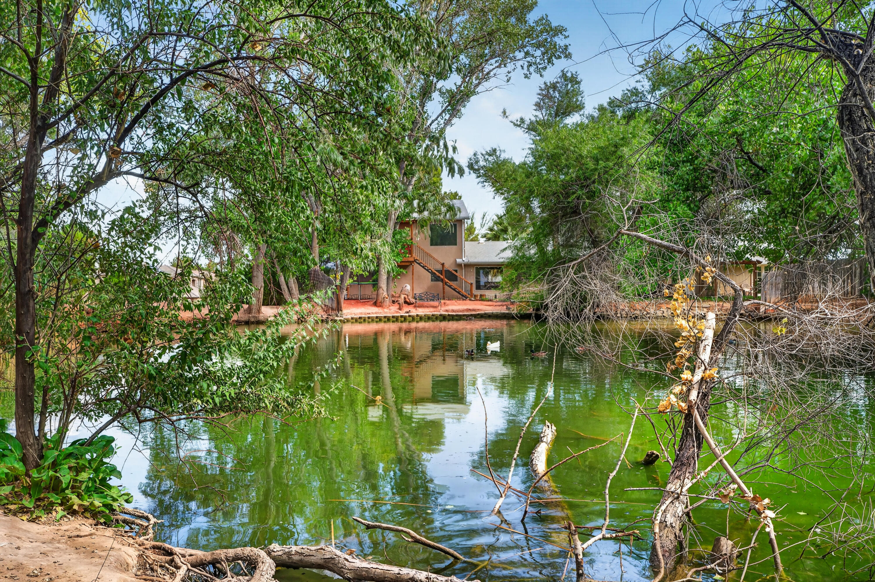 MIDDLETON TOWN - Residential