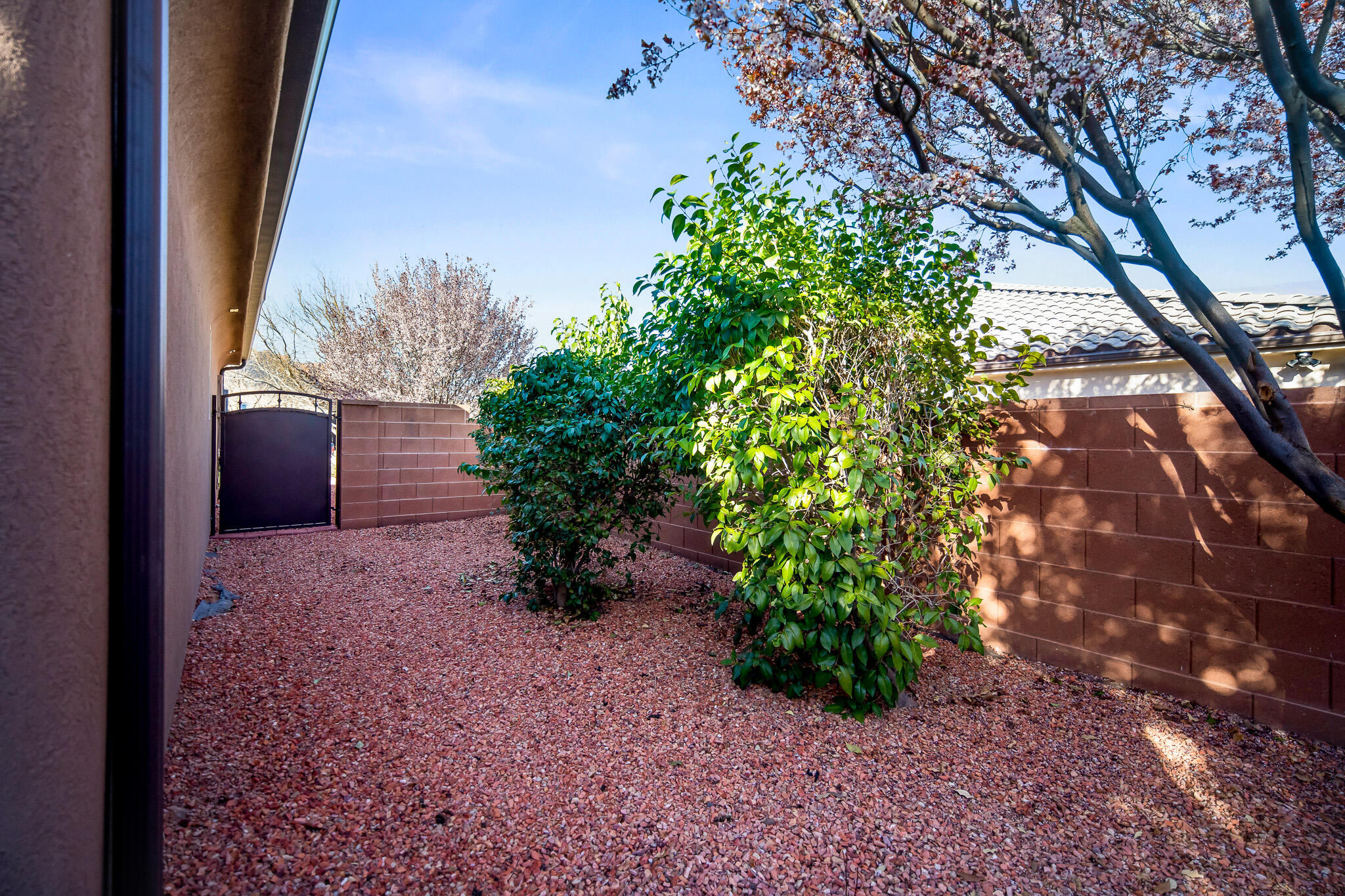 DESERT ROSE - Residential