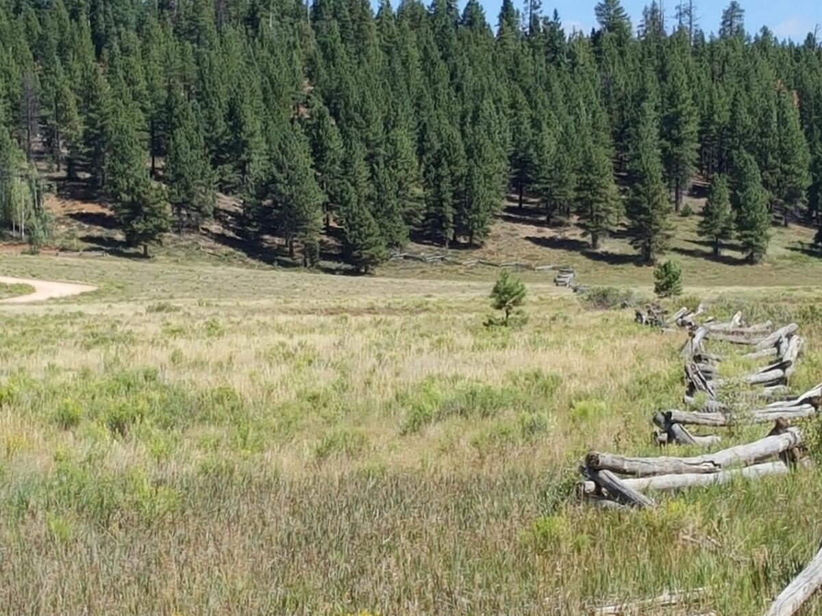 Unique opportunity for over 10 acres that boarders Dixie National Forrest. Strawberry Valley is just a few miles from Duck Creek Village. Brian Head Ski Resort, Zion & Bryce National Canyons are a short drive away. The property has amazing views of the valley & surrounding mtns. Ideal for building a family or equestrian estate. A gentle rise to the base of the mountain and a small knoll near the top. Plenty of space to build away from neighboring cabins/rentals and major thoroughfares. Able to have horses and/or livestock or grow your own food. The land is 100% usable and instead of clearing the land to build, a local contractor can place nice sized trees in the strategic areas of your choosing.