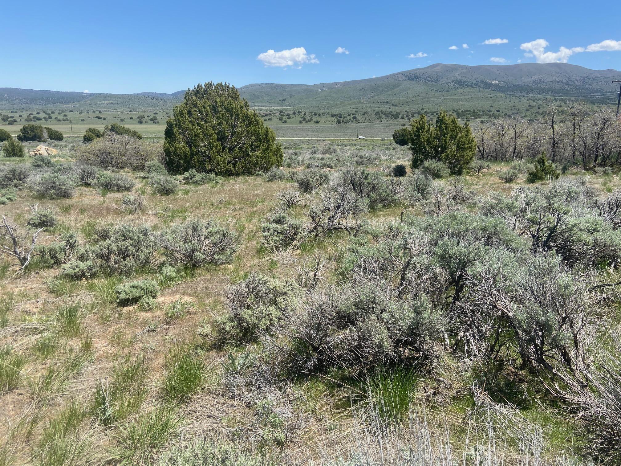 Great property located in Mountain Meadows area in Mountain Meadows Estates. This .47 acre parcel is perfect for a cabin or getaway retreat and only 40 minutes away from St. George!

Property includes 1/2 acre foot of water.