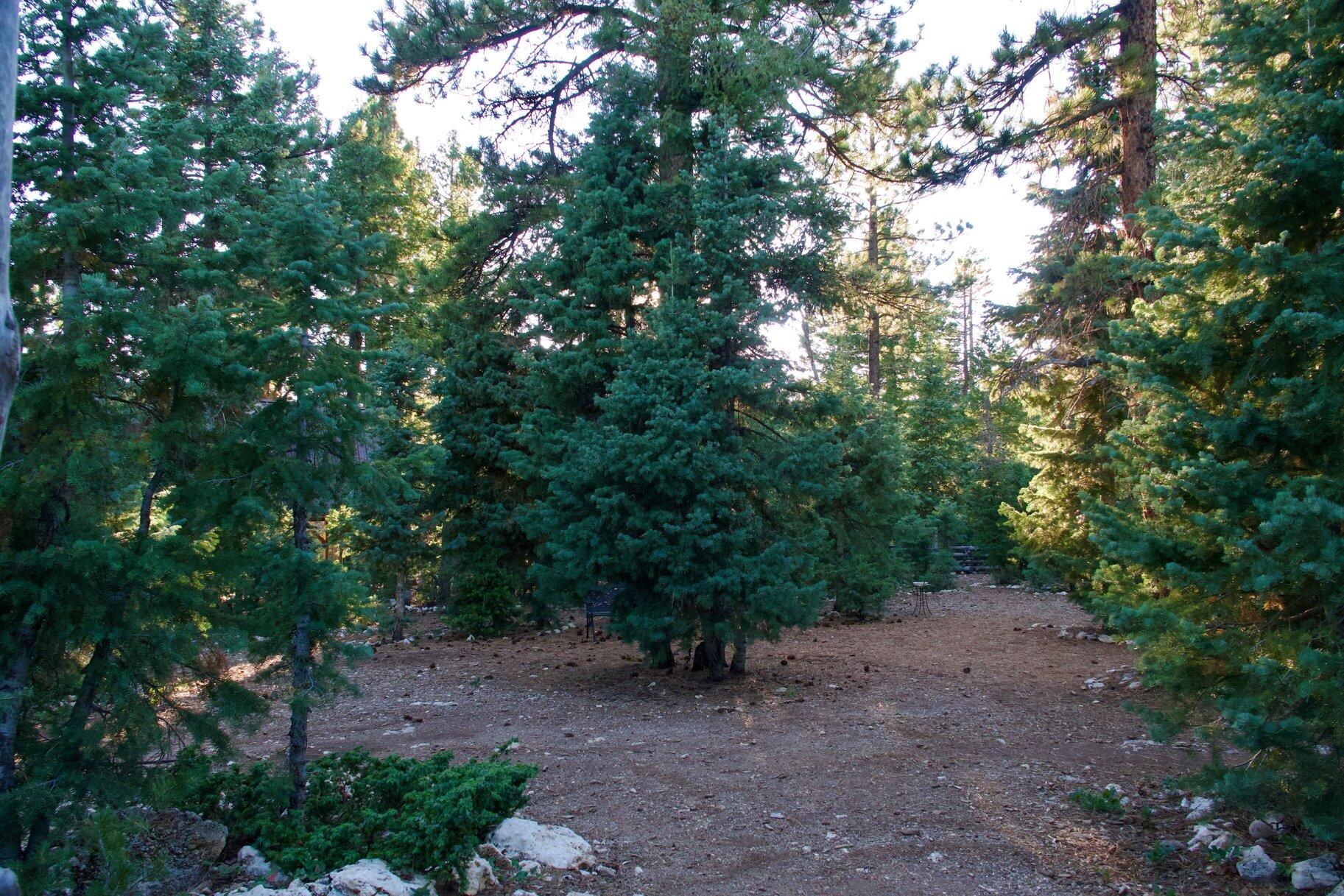 MOUNTAIN VIEW ESTATES - Residential