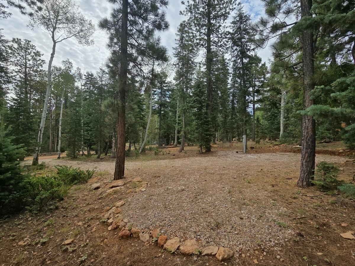 Escape to the serenity of Duck Creek Village with this exceptional RV ready property in the desirable Timber Trails subdivision. Thoughtfully prepared with a large, level gravel driveway and pad, plus water and power already in place, this property is ready for your RV/Trailer from the moment you arrive. Enjoy the convenience of year-round access on plowed roads, allowing you to experience the beauty of every season from colorful autumns, snow-covered winters, to cool summer evenings beneath the pines. Surrounded by mature pine and aspen trees, the property offers an outstanding opportunity to build the mountain cabin you've always envisioned. Protected by CCRs and an HOA, the community provides a peaceful mountain atmosphere while placing endless outdoor adventure at your doorstep. Ride directly into the Duck Creek ATV Trail System or spend your days hiking, biking, hunting, and fishing in the expansive Dixie National Forest. Iconic destinations including Bryce Canyon and Zion National Park are both within an easy scenic drive, making this an exceptional basecamp for year-round recreation and unforgettable mountain memories.
