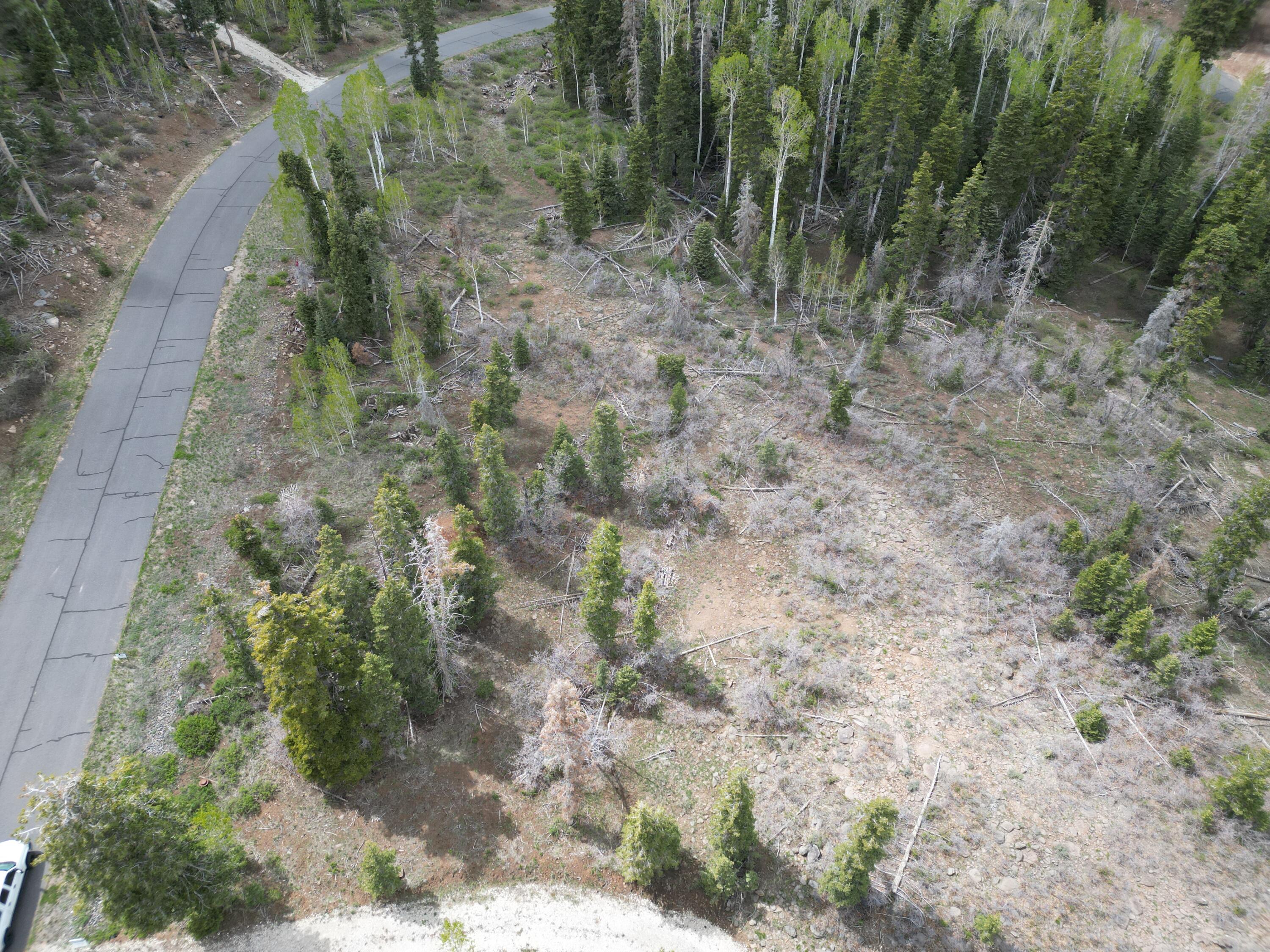 Beautiful mountain lot with diverse landscaping. This secluded lot includes meadows and wooded areas with large Pines. This premium lot will not last. Listing information deemed reliable, buyer to verify.