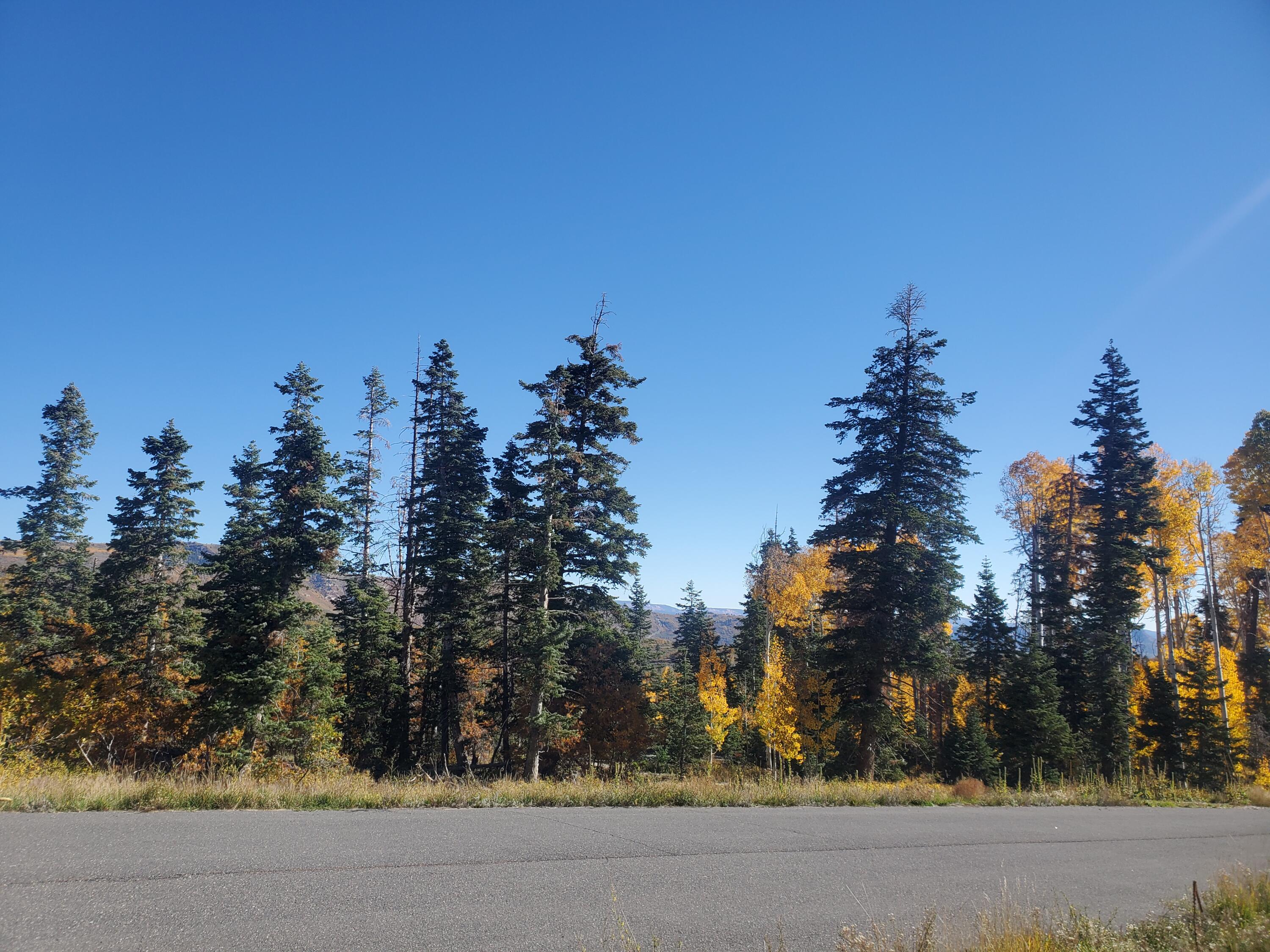 NOT AVAILABLE - Land