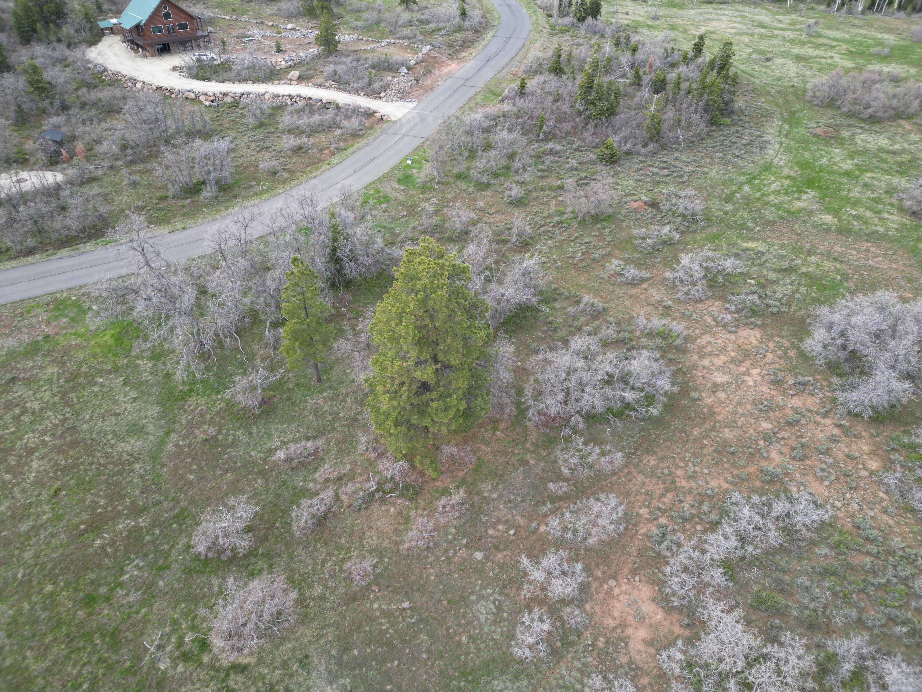 NOT AVAILABLE - Land