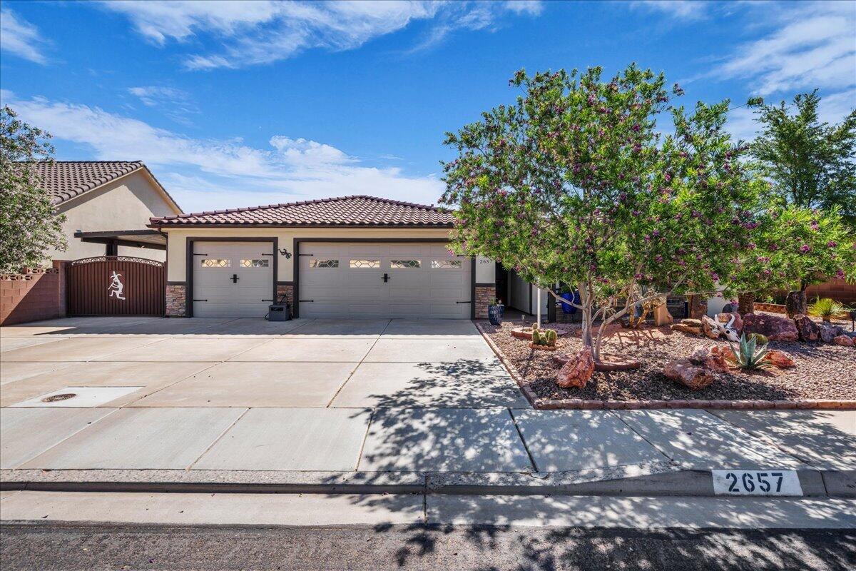 DIXIE SPRINGS - Residential