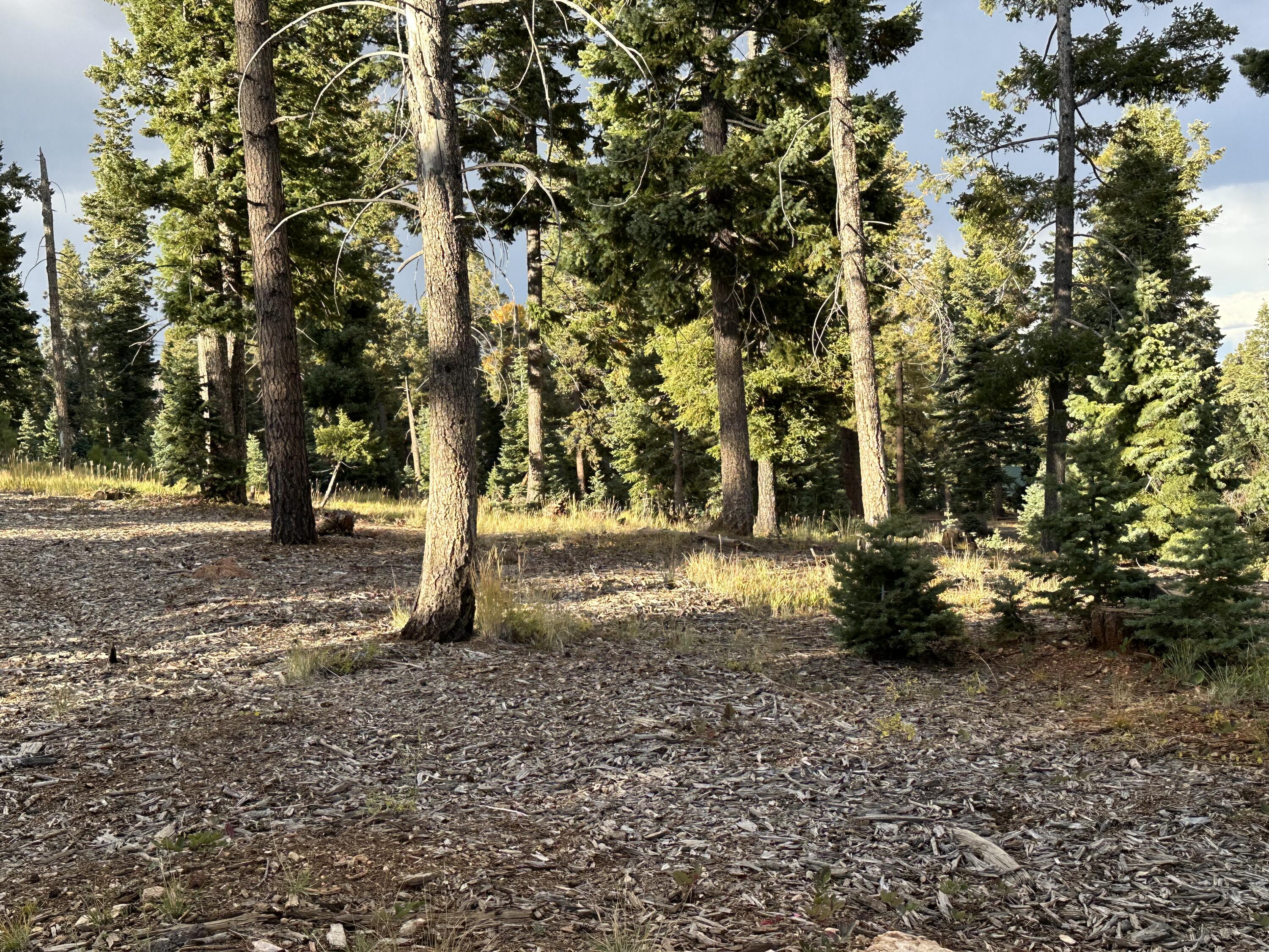 ruly experience all 4 seasons in southern Utah mountains- stunning fall colors, winter wonderland, budding spring and cool mountain summer. Duck Creek Pines is an eminent subdivision with CC&Rs in place to protect property value. The roads are maintained year-round. Tall trees grace this level lot. Utilities are at the road. It's a short drive to the Duck Creek ATV Trails System giving you access to the Dixie National Forest scenic trails. Access to hiking, biking, fishing, hunting and just enjoying the Dixie National Forest right out your future front door.