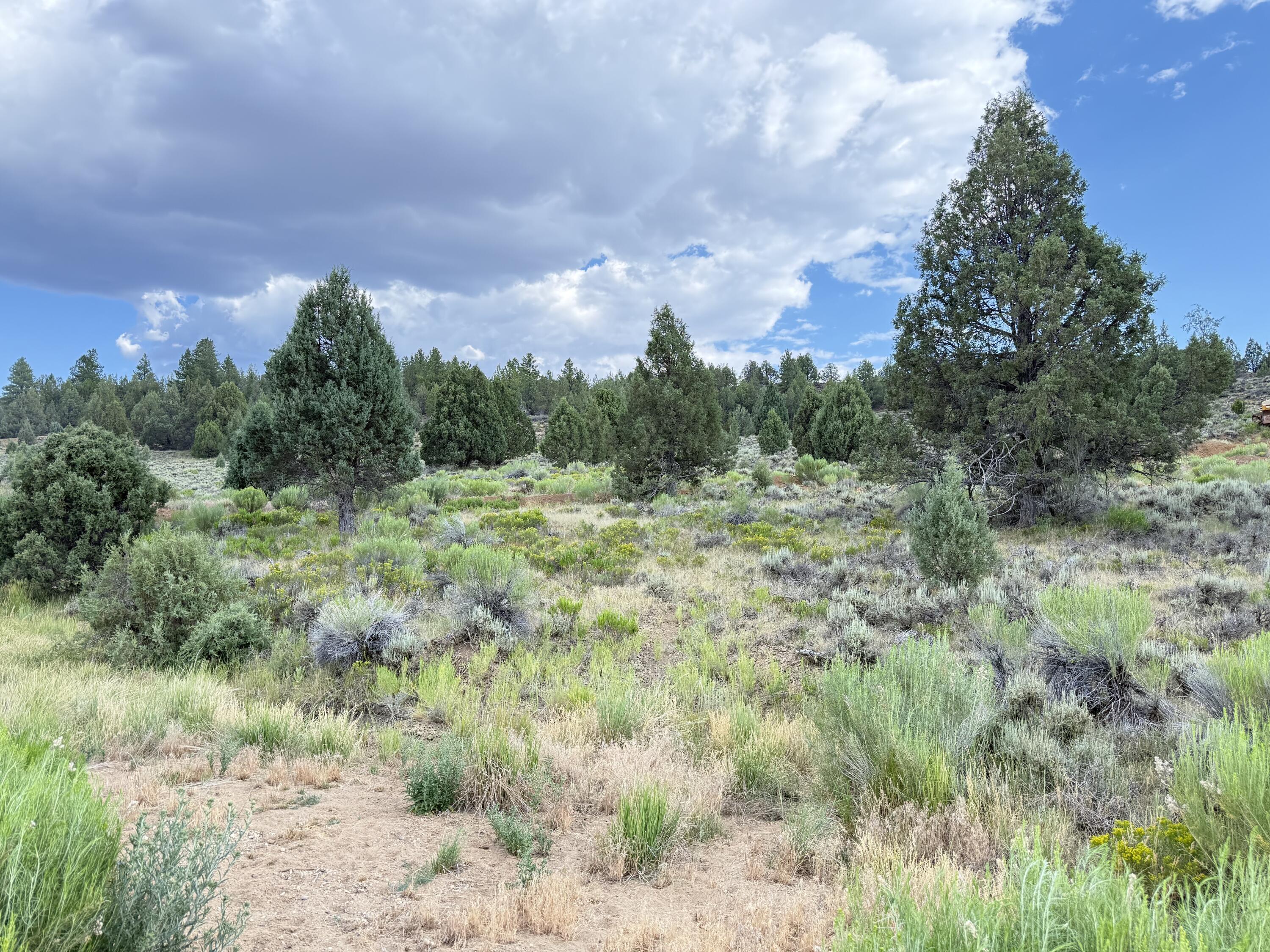 Enjoy plenty of space, easy access, and beautiful views from this oversized lot in a quiet neighborhood. RVs are allowed, making it a great option for a weekend getaway or future build. The water meter has been installed and paid for, with power available in the street. With no HOA or CC&Rs, you have the freedom to make the property your own. Winter snow removal may be arranged at the owner's expense.
