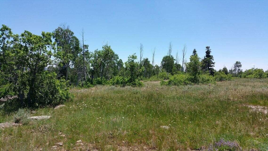LOT 8 is an amazing view lot on Kolob Mountain in the all popular Whispering Pines Subdivision. This lot features a mix of trees and open meadow to ensure you have lots of options to place your dream cabin. Located 2 miles from the Kolob Reservoir. Paved road access, gated community, water connection stubbed and phone/fiber-optics internet available.  Come walk this lot- you will want to stay.