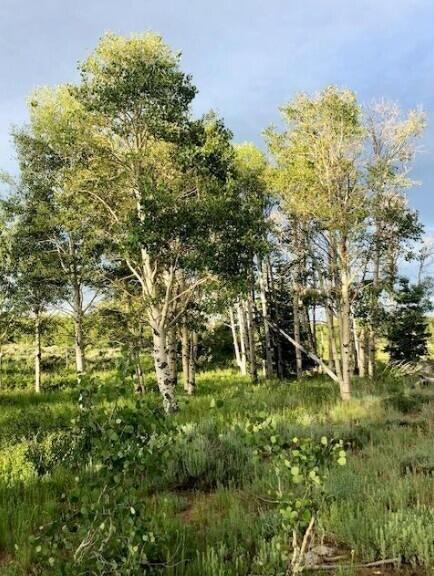 WHISPERING PINES SUB - Land