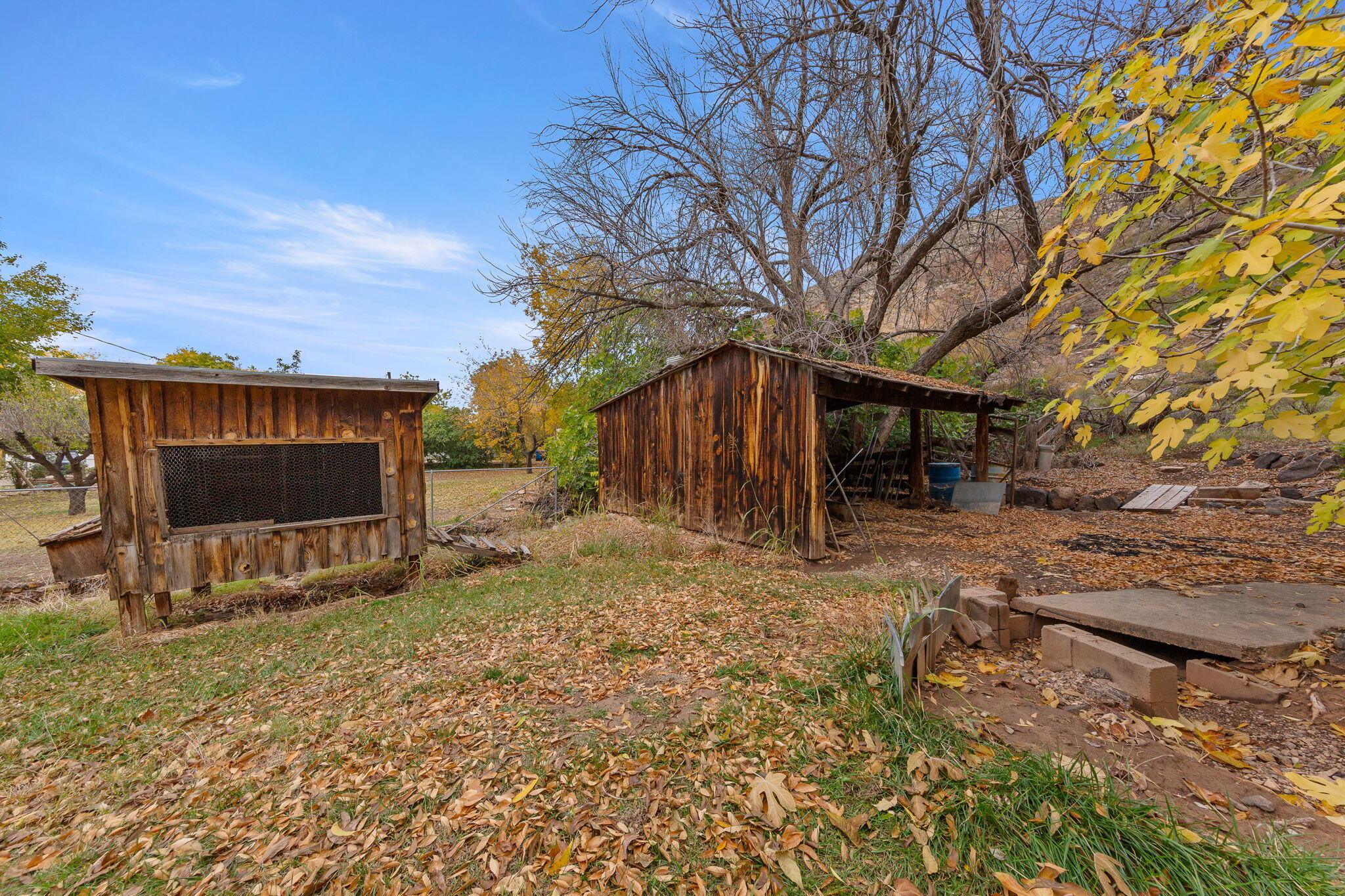 HURRICANE LOCAL - Residential