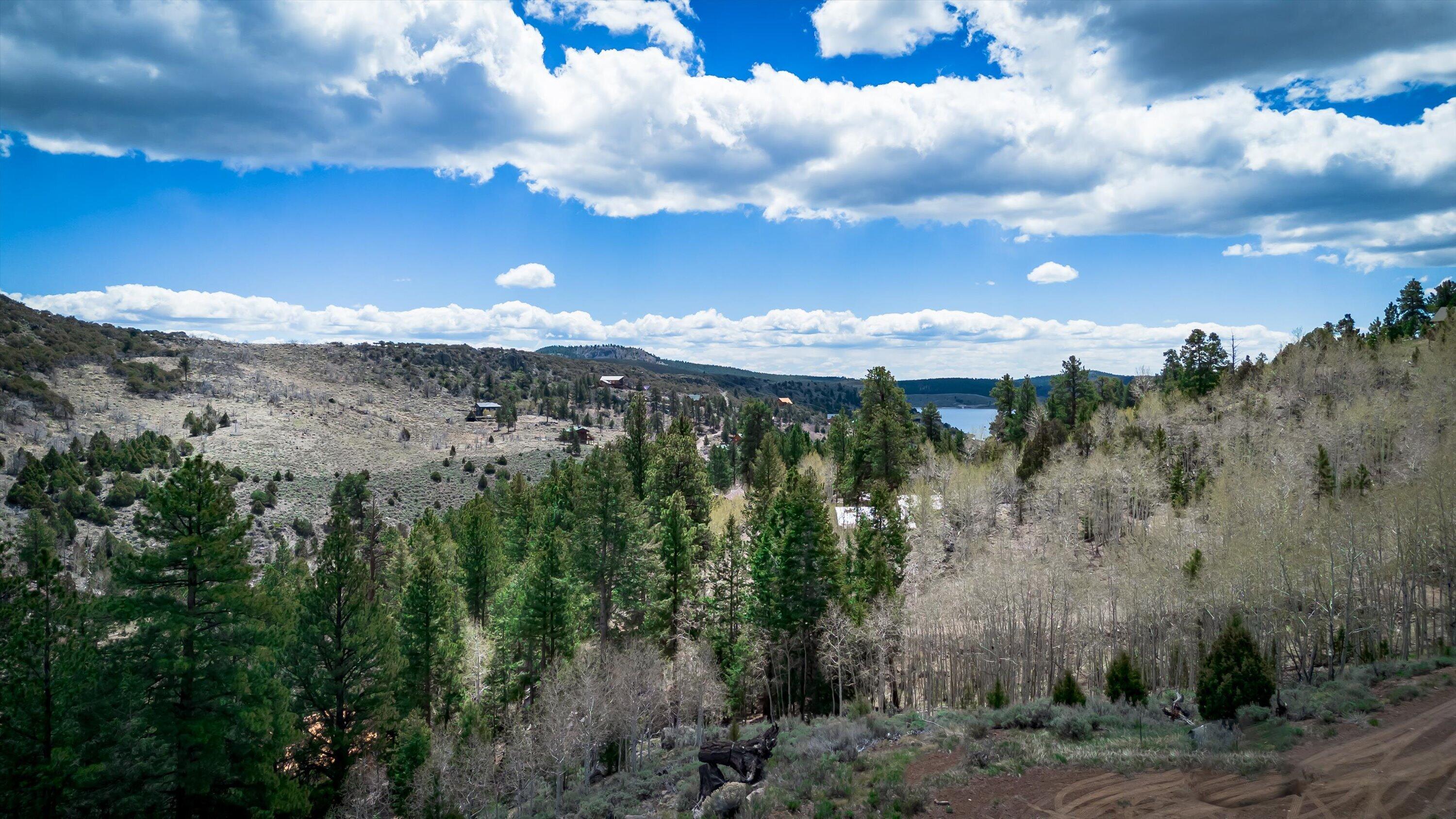 Private lot located at the end of a quiet cul-de-sac and bordering Dixie National Forest. Utilities located in the street with the HOA maintaining roads, you'll have year round access to the property.