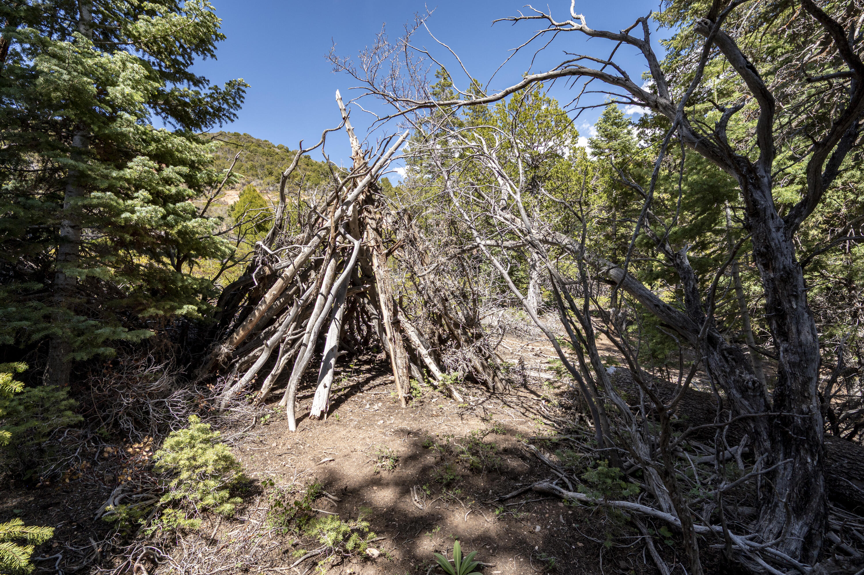 NOT AVAILABLE - Residential