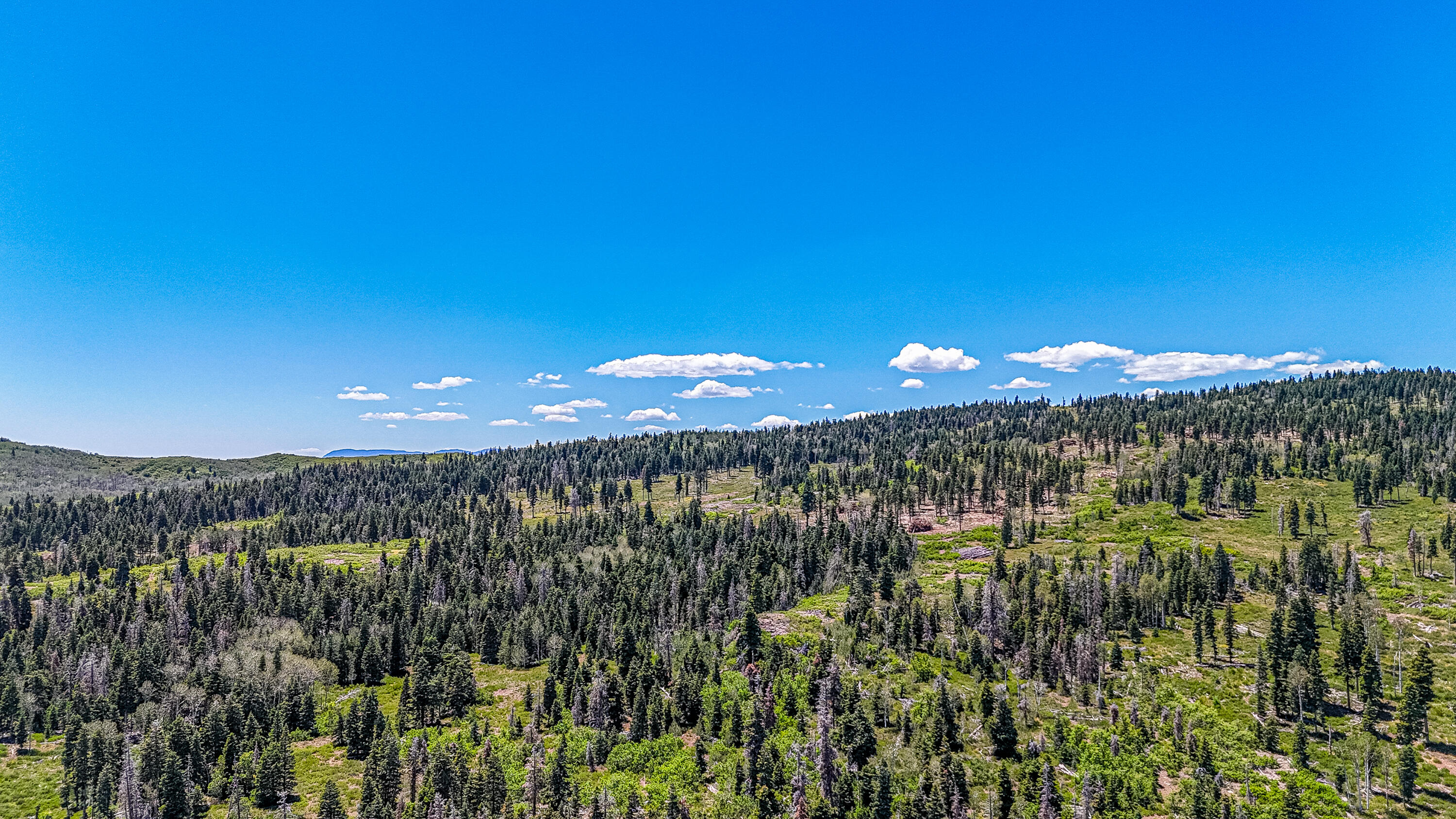 PEACEFUL ACRES UNIT - Land