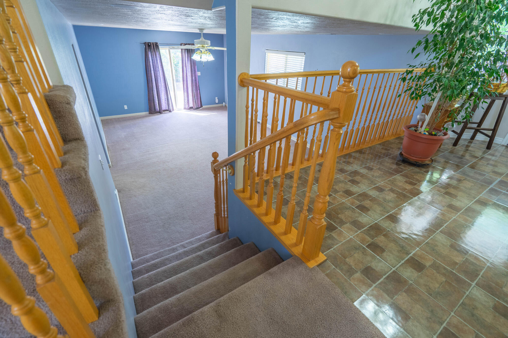 SOUTH POINTE - Residential