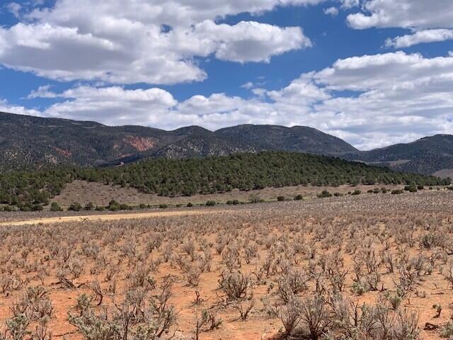 Don't miss out on this very well priced 20 plus acreage!! Great area with mountain views in every direction. You will have privacy with no close neighbors. Enjoy the wildlife around you. Horses are allowed so perfect for a mini ranch. If you enjoy the outdoors you can take advantage of being 20 minutes to Brian Head ski resort for skiing in the Winter. Hike & bike in the Summer This property puts you close to Bryce Canyon, Zion & Cedar Breaks Parks. You can go fishing in any direction. Cedar City is just minutes away. You will have many opportunities to make this property your own.
