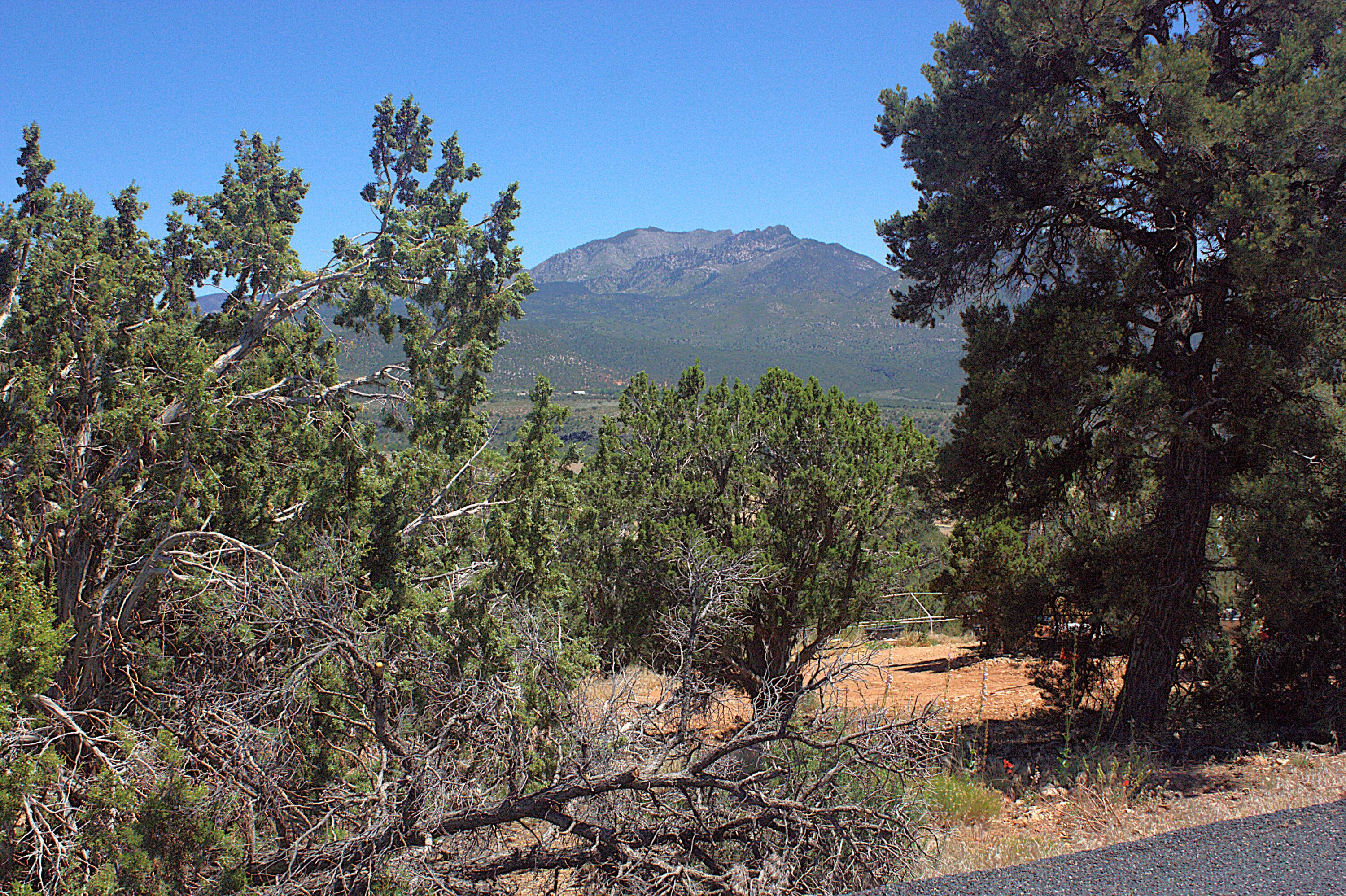 DIXIE DEER ESTATES - Land