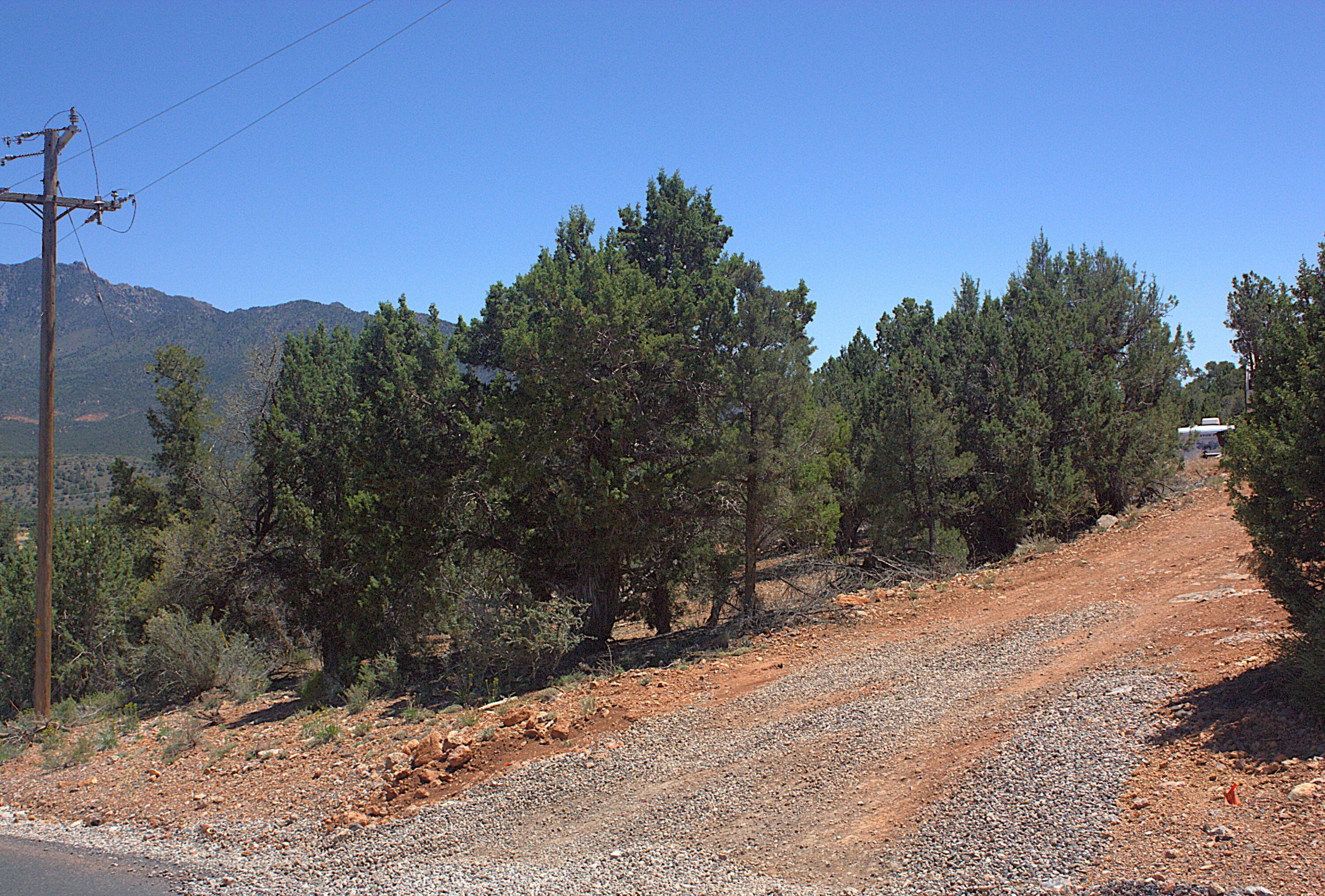 DIXIE DEER ESTATES - Land