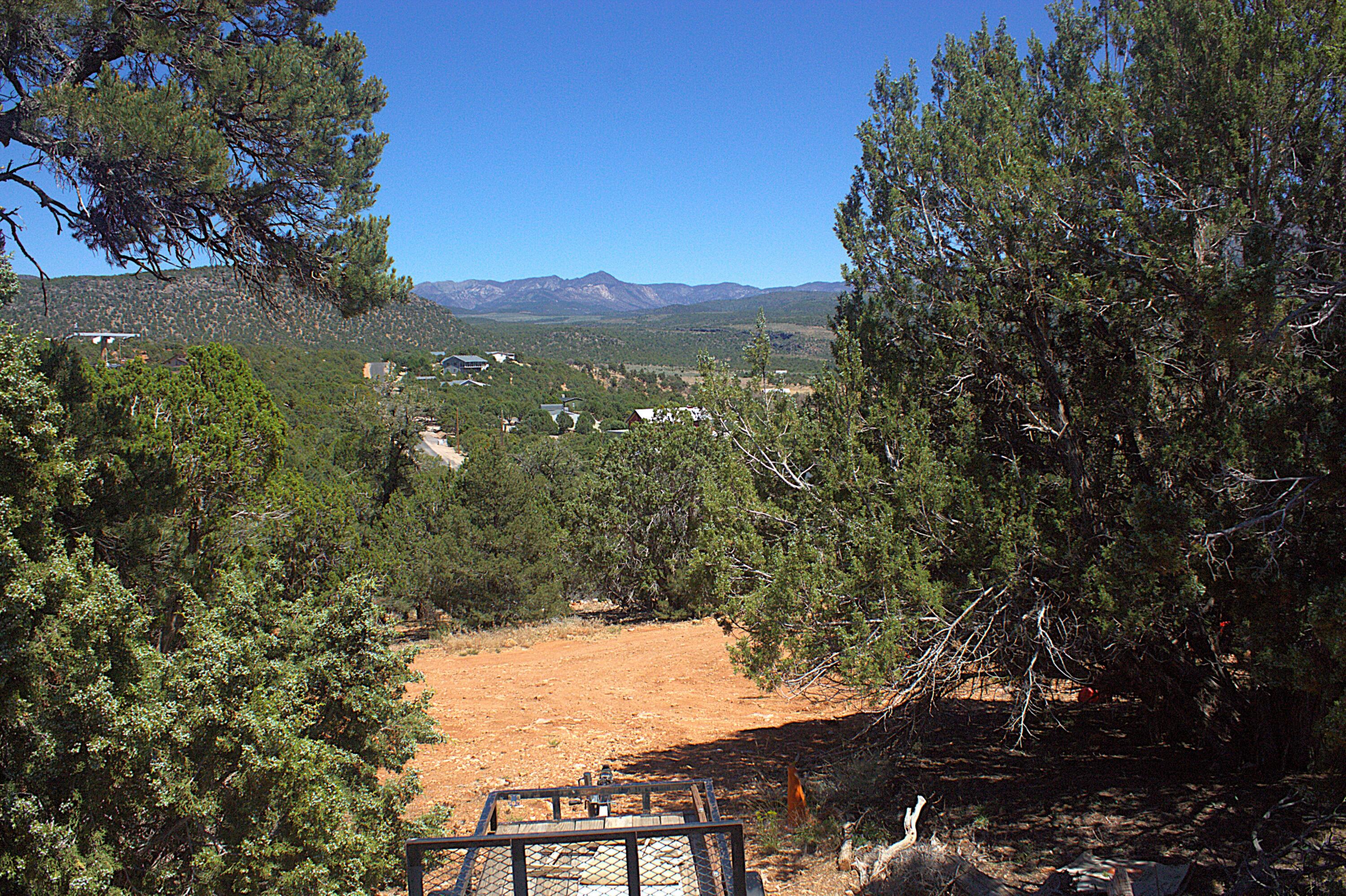 DIXIE DEER ESTATES - Land