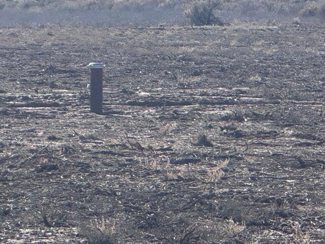NOT AVAILABLE - Land