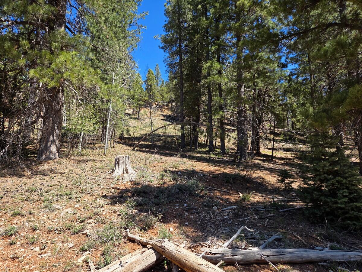 This attractively .52 ac lot is ready for your mountain escape in the Ponderosa Villa Subdivision. The property offers year-round living including power, water, communications, and plowed roads during the winter months. With the city like amenities in the subdivision, you're already a step closer to building your dream cabin or setting up the perfect RV location. The lot has not paid the water meter impact fee. The property is sloped which provides a stunning view of the surrounding valley and mountains. The subdivision has recorded CCR's and Short Term rentals. There is easy access to the Duck Creek ATV Trails System. Other recreation activities includes hunting, fishing, hiking and biking in the Dixie National Forest. It is a short drive to Zion National Park, Bryce Canyon National Park, Cedar Breaks National Monument, and the North Rim of the Grand Canyon. Call for more information.