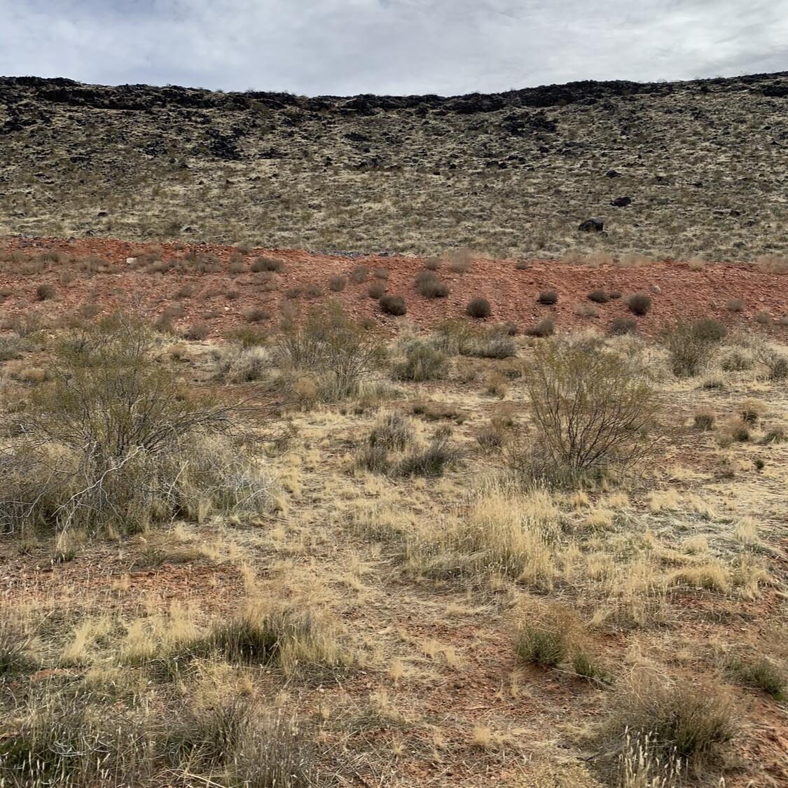 Don't miss this rare opportunity to own this building lot in the sought after Dixie Springs Subdivision. Perfectly situated, this property backs up to the natural hillside offering a sense of privacy and tranquility with no backyard neighbor. Bring your own builder and build your forever home or a vacation retreat. All utilities are available at the street and the lot is ready for your custom build. It's close to Sand Hollow Reservoir, Sand Hollow State Park, Zions National Park, beautiful golf courses and endless outdoor recreation.