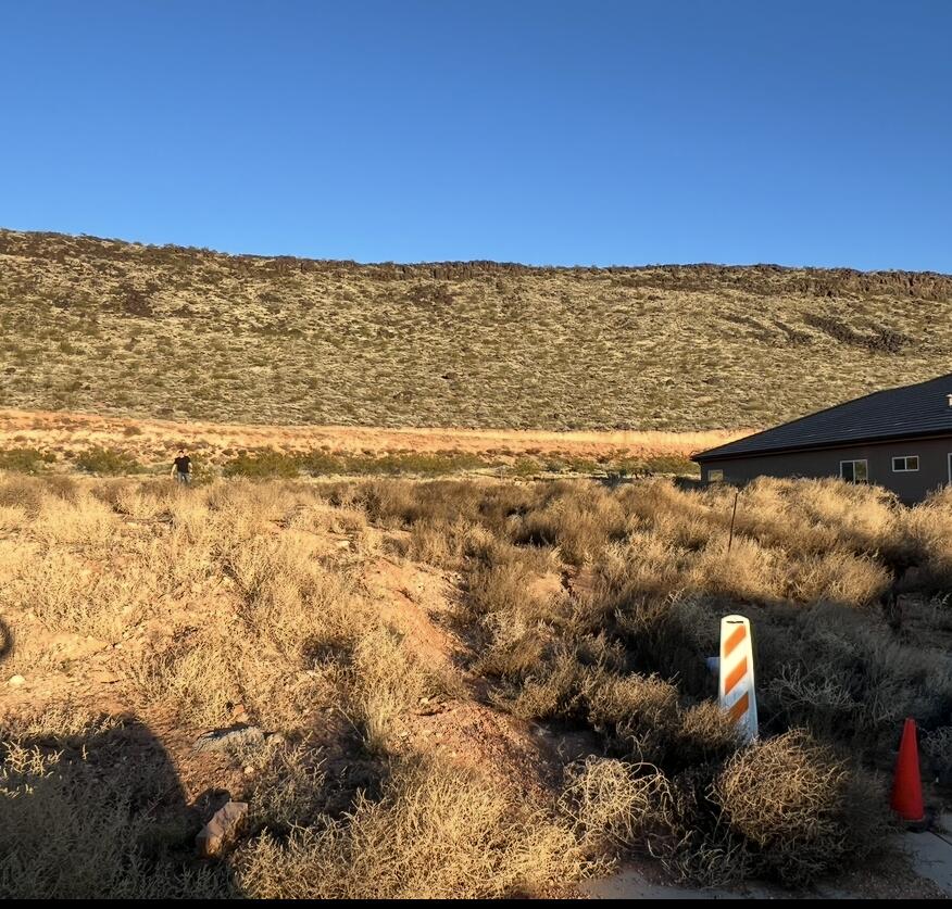 DIXIE SPRINGS - Land
