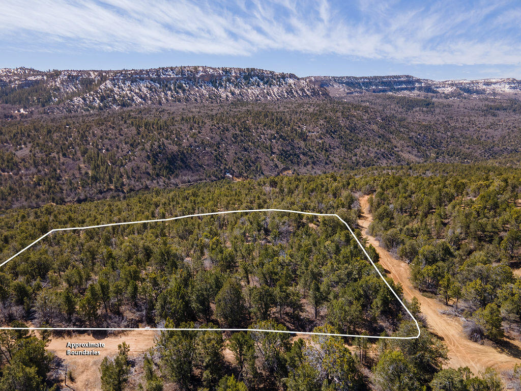 Rare Opportunity for Secluded Recreational Getaway! Large tracts of land on the East side of Zion National Park are so hard to come by- don't miss this opportunity. Imagine sleeping in a place where all you hear is the sounds of the night and the rustling of pine trees outside. You can look up and see the stars brighter than ever, in the dark night sky!  There is plenty of room for a cabin or bring your RV. The property borders BLM to the South. There is a nice large level area right off the road with fantastic views to the North and South!  A building permit can be obtained by either drilling a well with the 1/4 acre foot of water that seller will sell separately or by making an agreement with the health dept. to haul water. Seller owns .25 acre foot of water with right # 81-4248 that she will sell separately for $30,000. This right needs to have a change application filed if buyer wishes to move it. Waste water to be handled through a septic tank. Please contact SW Utah health for information on installing septic tanks.