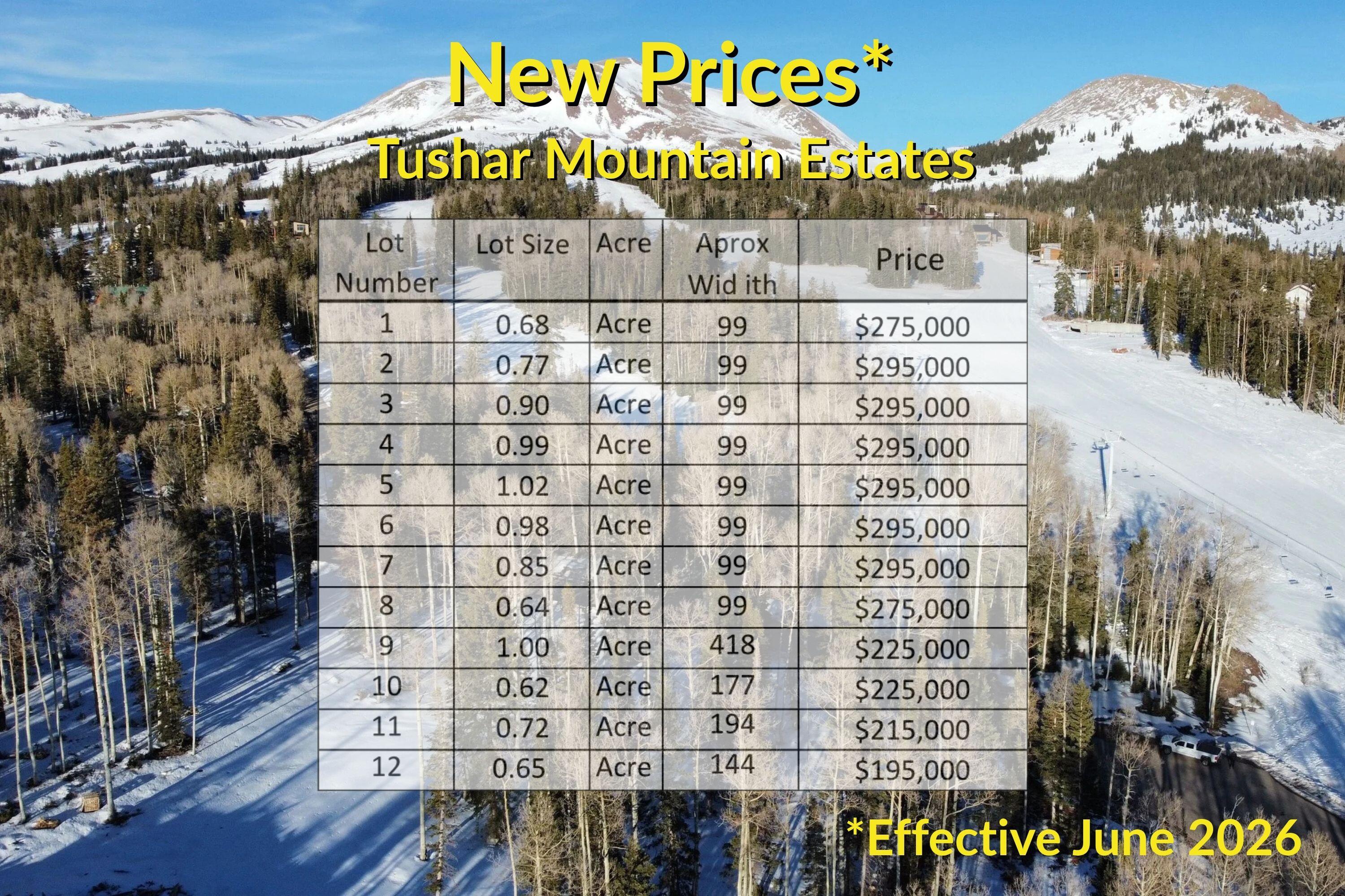 Tushar Mountain Estates - Land