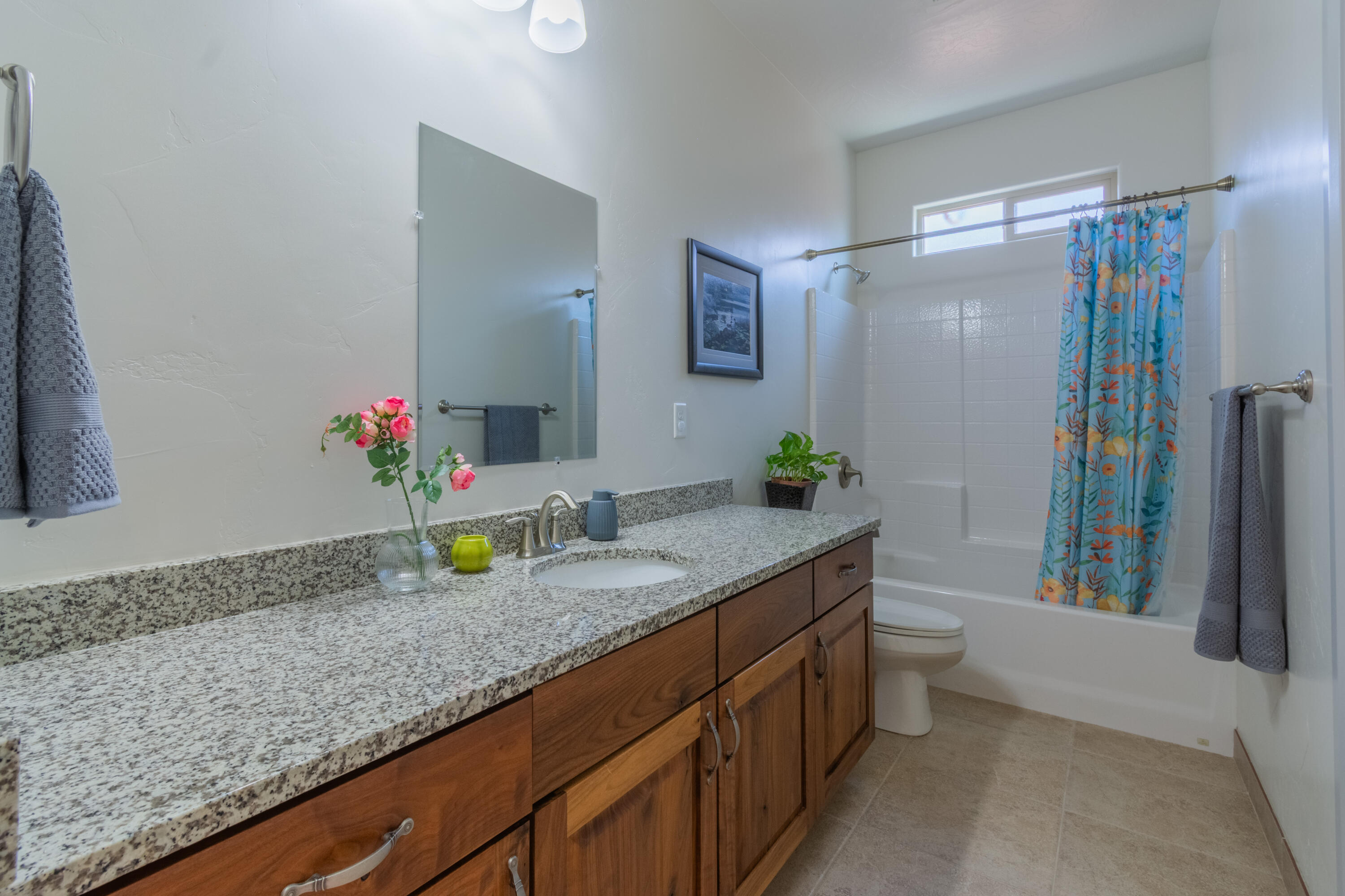 ZIONS GATE ESTATES - Residential