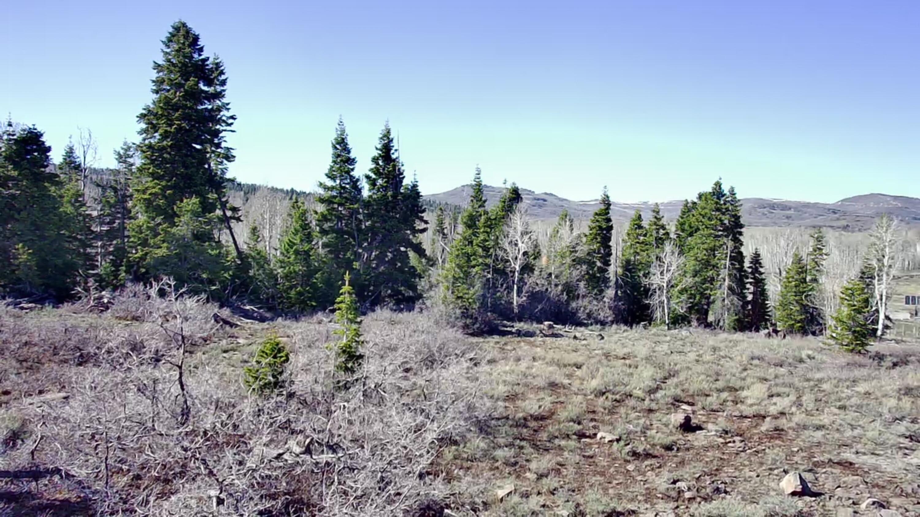 WHISPERING PINES SUB - Land