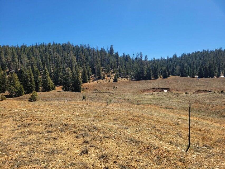 Owner Financing: $6,000 down and $699 monthly payment. Come enjoy the mountain life in the Swains Creek subdivision just minutes from Duck Creek Village. This .67 acre lot that borders the National Forest and has a gorgeous view looking across the meadow and towards the tree lined forest. The lot has a gentle slope towards the rear which would be ideal for a cabin with a walk out basement. Year round utilities including power, water, and landline communications are in the subdivision. The subdivision roads are also plowed during the winter months giving this lot city like utilities. Swains Creek Subdivision is a small community sitting within the National Forest between Duck Creek Village & Scenic Highway 89. Property owners are part of an association which maintains several common areas: fishing pond, pavilion, picnic tables, a landing strip, and a place for horses. RV's and short term rentals are not permitted on this lot. From Duck Creek Village it is a short drive to Zion or Bryce National Parks, North Rim of the Grand Canyon, Cedar Breaks National Monument and many other outdoor areas. The neighboring lot is also available to purchase.