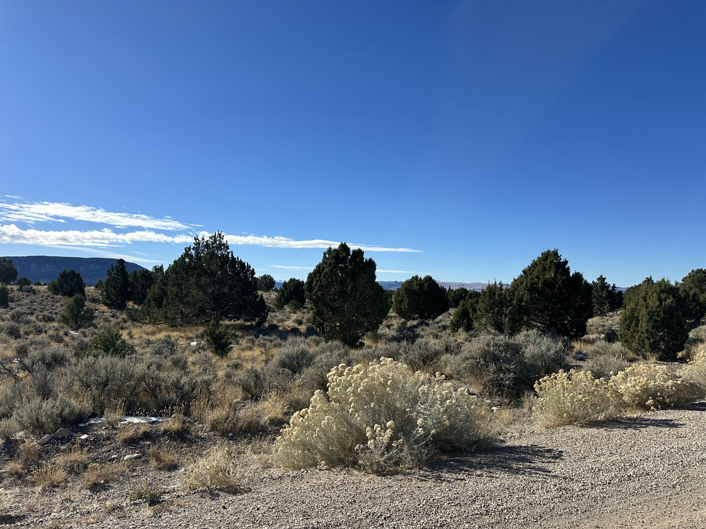 Discover the perfect place to build your dream home on this breathtaking 4.80-acre lot in the North Creek Ranch Subdivision in Beaver, Utah. Nestled in a peaceful and secluded area, this property offers unparalleled privacy and tranquility, with panoramic views of the majestic mountains. The lot is easily accessible via a county-maintained road, ensuring year-round convenience while preserving its serene ambiance. Whether you're envisioning a cozy retreat or a spacious family home, this prime building lot provides endless possibilities. 

Don't miss the chance to create your own mountain haven!