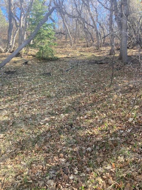 A campers Dream.  Here is a unique 1 acre lot on Kolob Mountain for a price that spells success.  Only about 3 miles from the Kolob Reservoir, it will be easy to enjoy the beauty and sport of the lake.  It is ready for your camper, RV or even your tent.  Enjoy the cool temperatures and the fresh air. This lot does not include a water share but is priced accordingly.  Take advantage of it while you can!