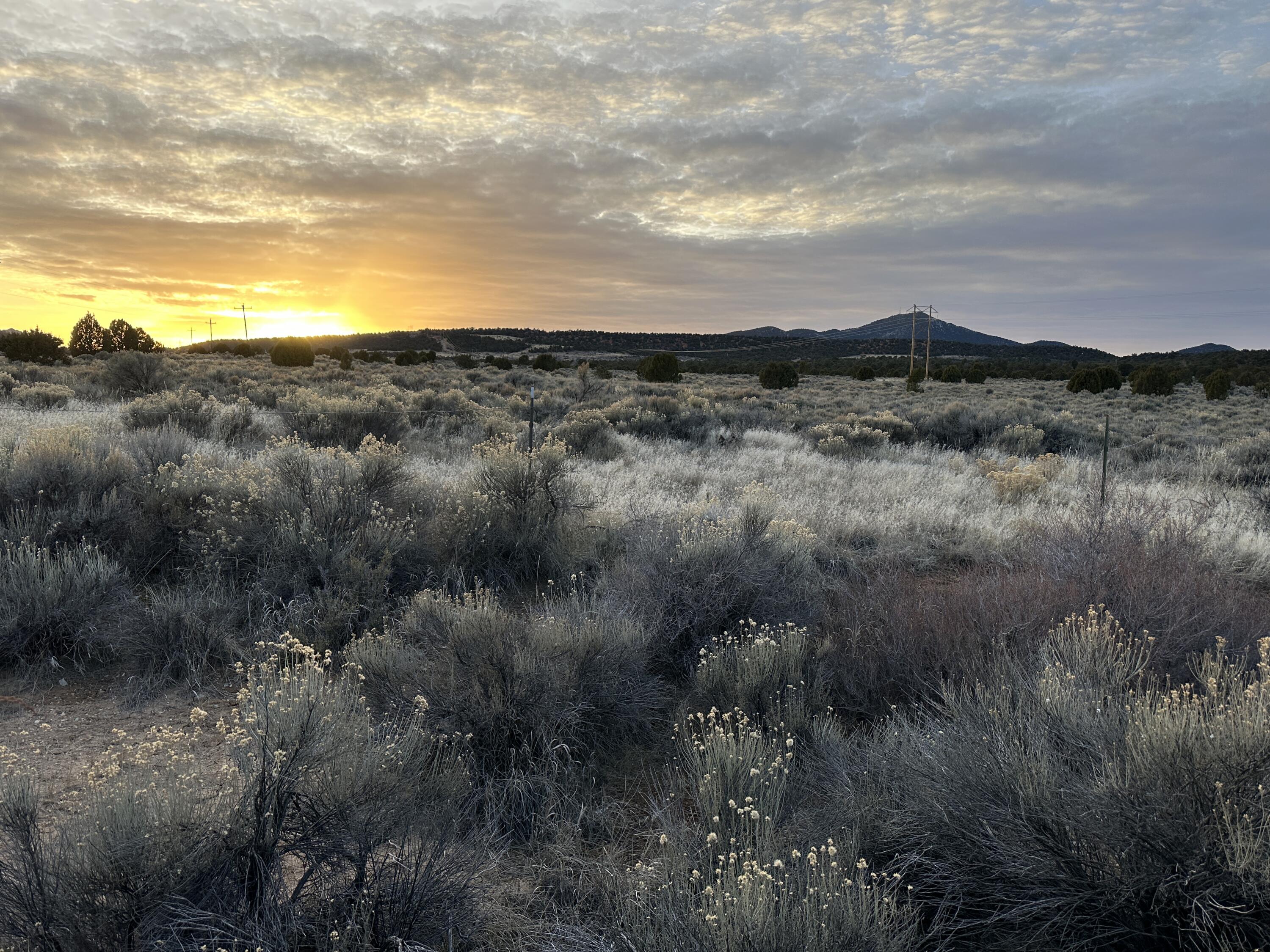 Prepare to construct your dream home on this stunning 5.18-acre horse property, located approximately 15
minutes west of Cedar City. 
The water well is only one year old, extends 500 feet deep, and features a pump and pressure system already installed. Electricity is available and connected on site. There is one acre-foot of water right available, not included.  Come prepared to enjoy the views and serenity of country living at its finest.