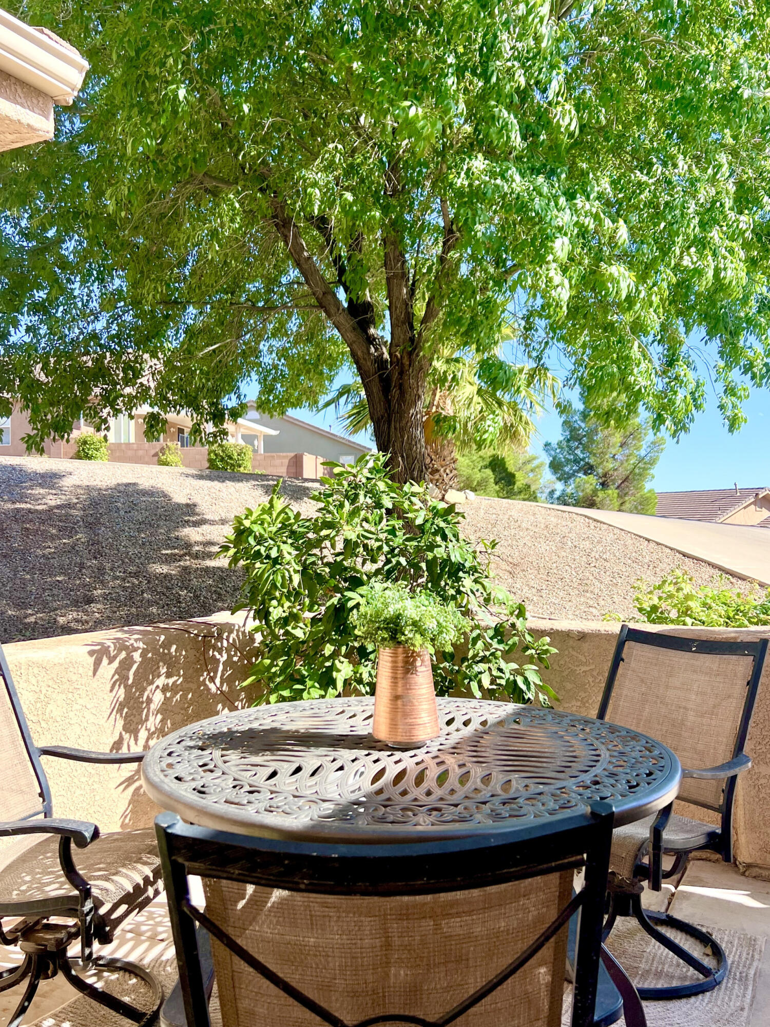 NEW WARM SPRINGS - Residential