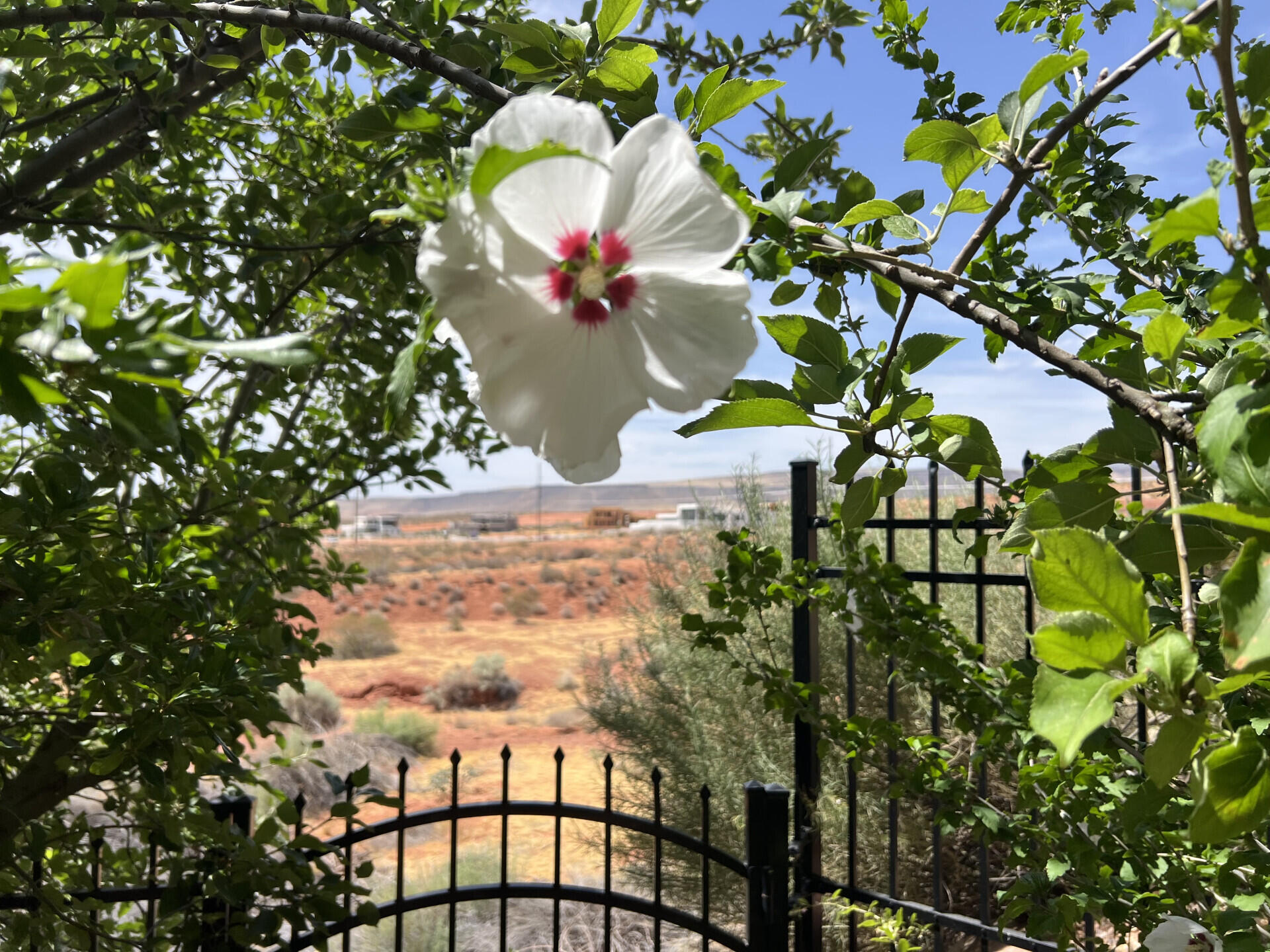 NEW WARM SPRINGS - Residential