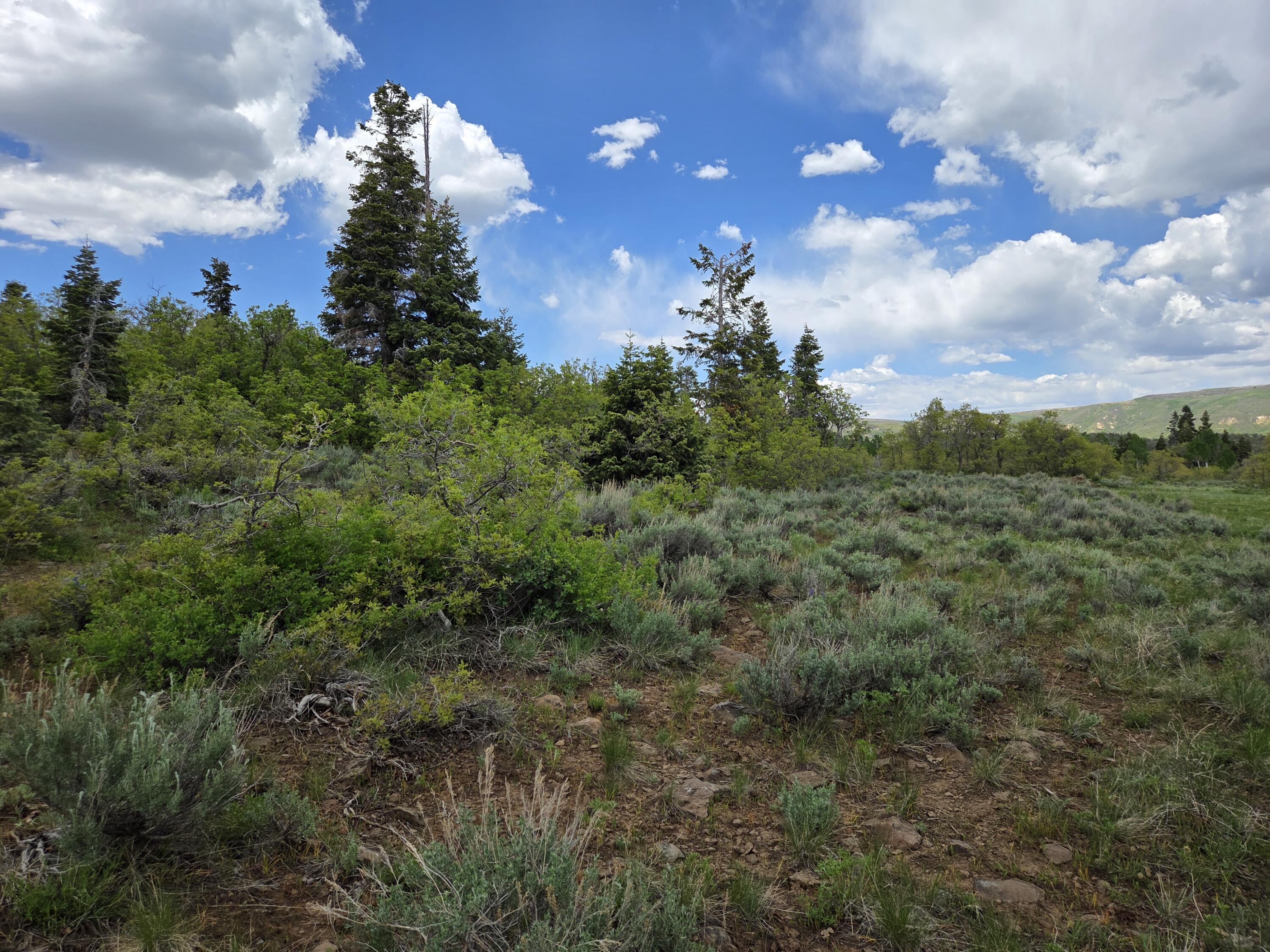 WHISPERING PINES SUB - Land
