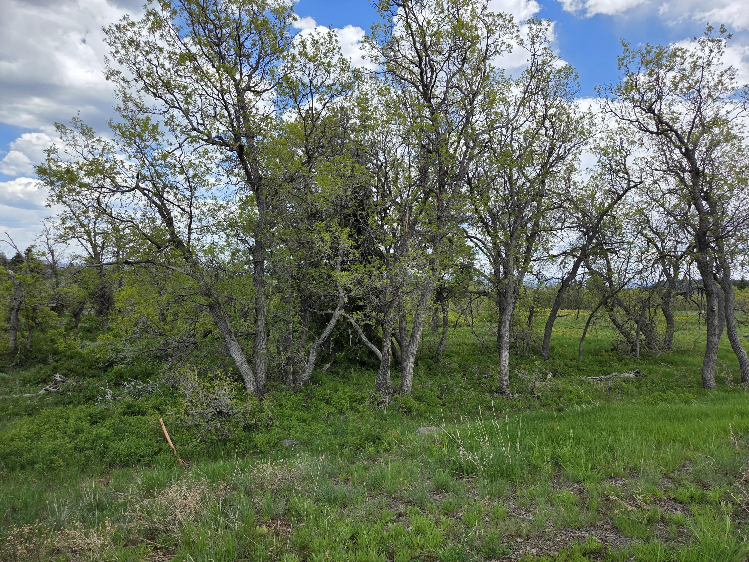 WHISPERING PINES SUB - Land