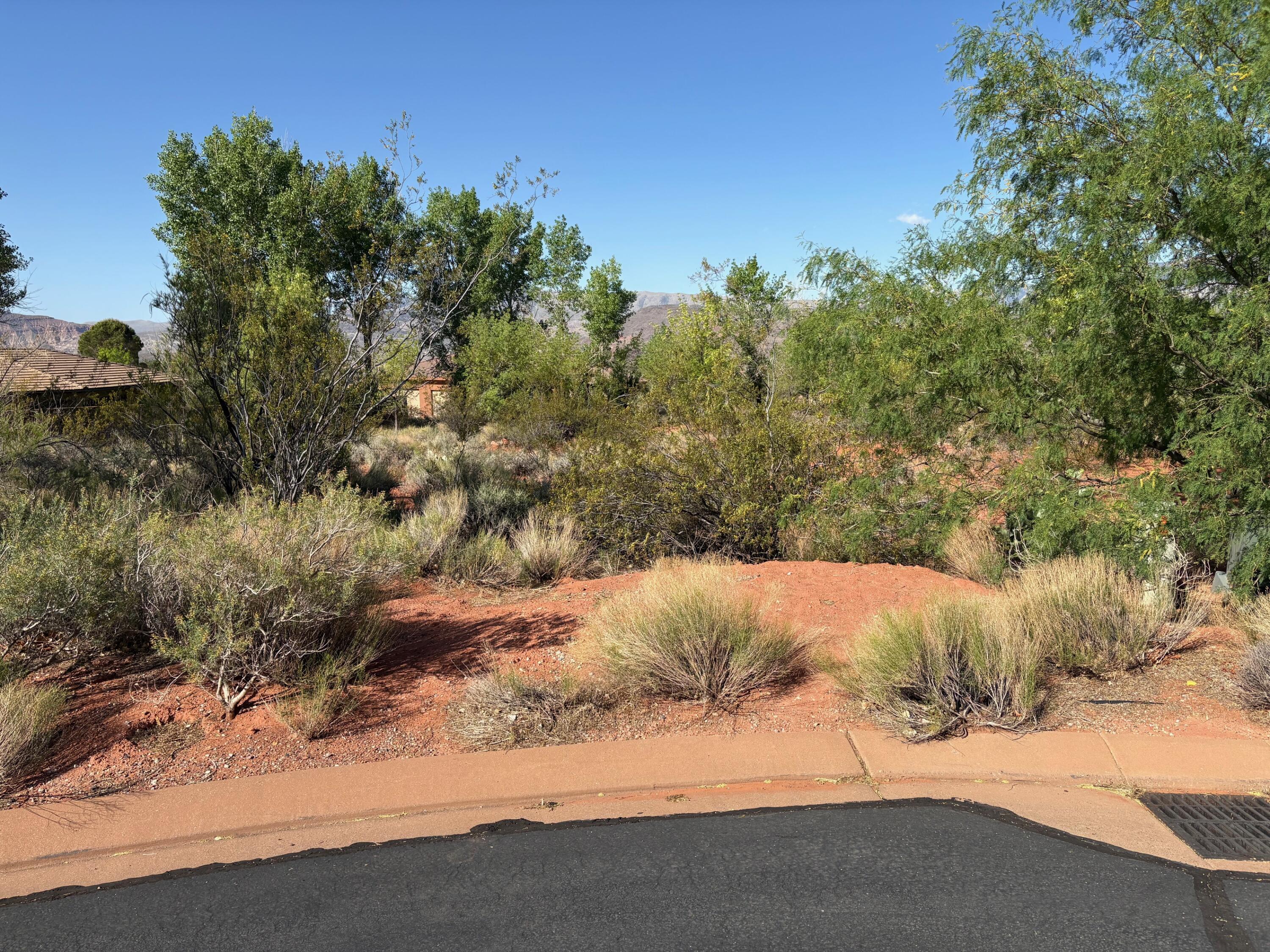 Beautiful view lot of Red Mountain, on a quiet cul-de-sac in the Taviawk section of Kayenta. Dark skies, walking trails, all just a short distance away from the Kayenta Art Village, where you will find restaurants, galleries, festivals and theater events.