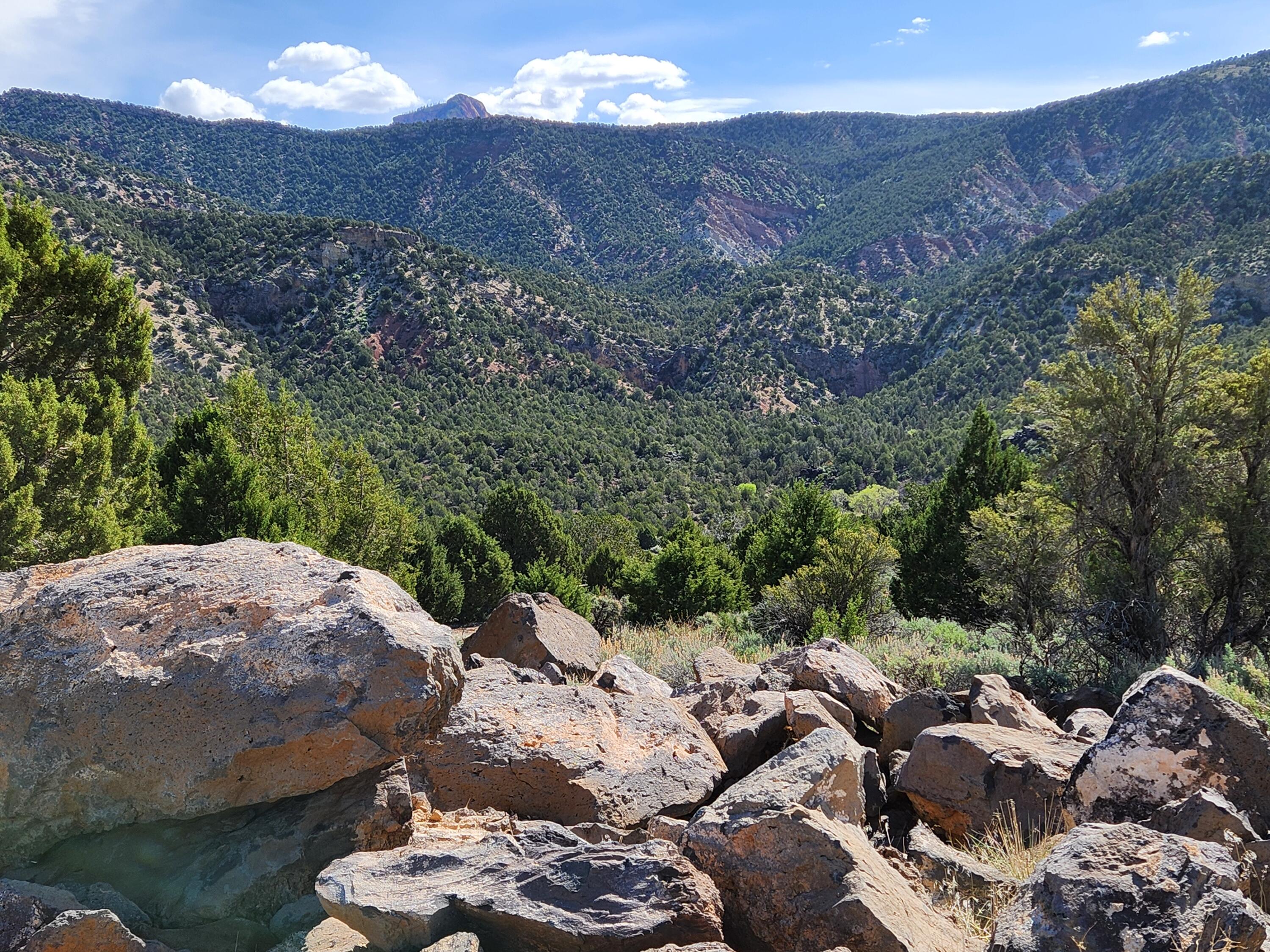 This incredible 5-acre lot has the perfect location, the perfect blend of views, privacy, peace and tranquility, endless possibilities. Much of the work is done. The soils report is done. Complete plans for a beautiful custom home. Conveniently located in; Utah's unique equestrian community. Miles of trails for horses or ATV enthusiast. Just minutes to St. George or Cedar City Easy access to the I-15 from exit 36.