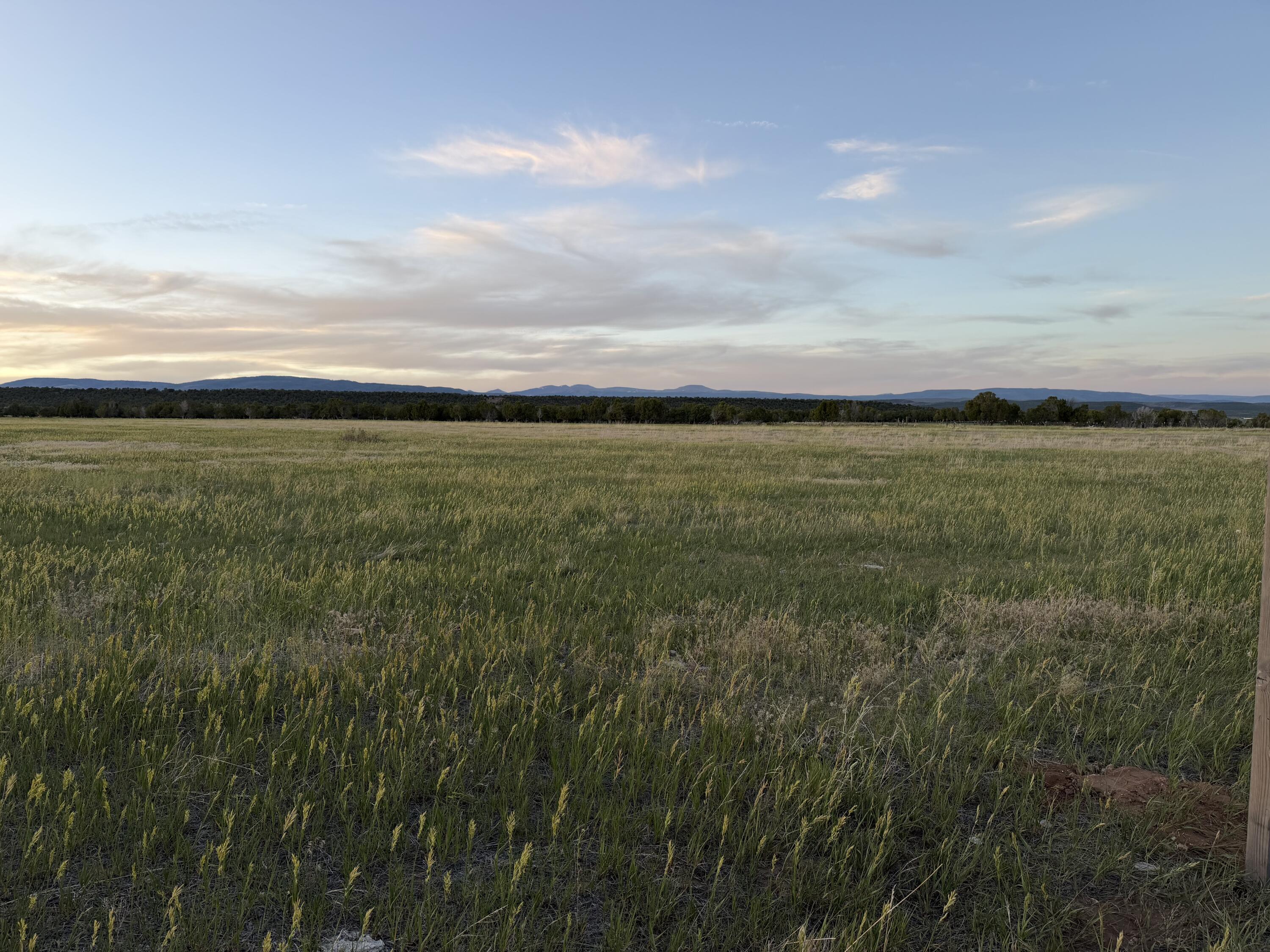 76.89 surveyed acres in Altamont, currently used for active ranching and grazing. Unrivaled proximity to Moon Lake and Rock Creek with direct access off 7000 N. Maintain Greenbelt tax status while planning your private estate or recreational subdivision. Buyer to verify all utilities, water rights, and subdivision requirements with Duchesne County. Rare combination of size, utility, and location! City is Altonah and Zip Cod is 84002. Seller to maintain mineral rights.