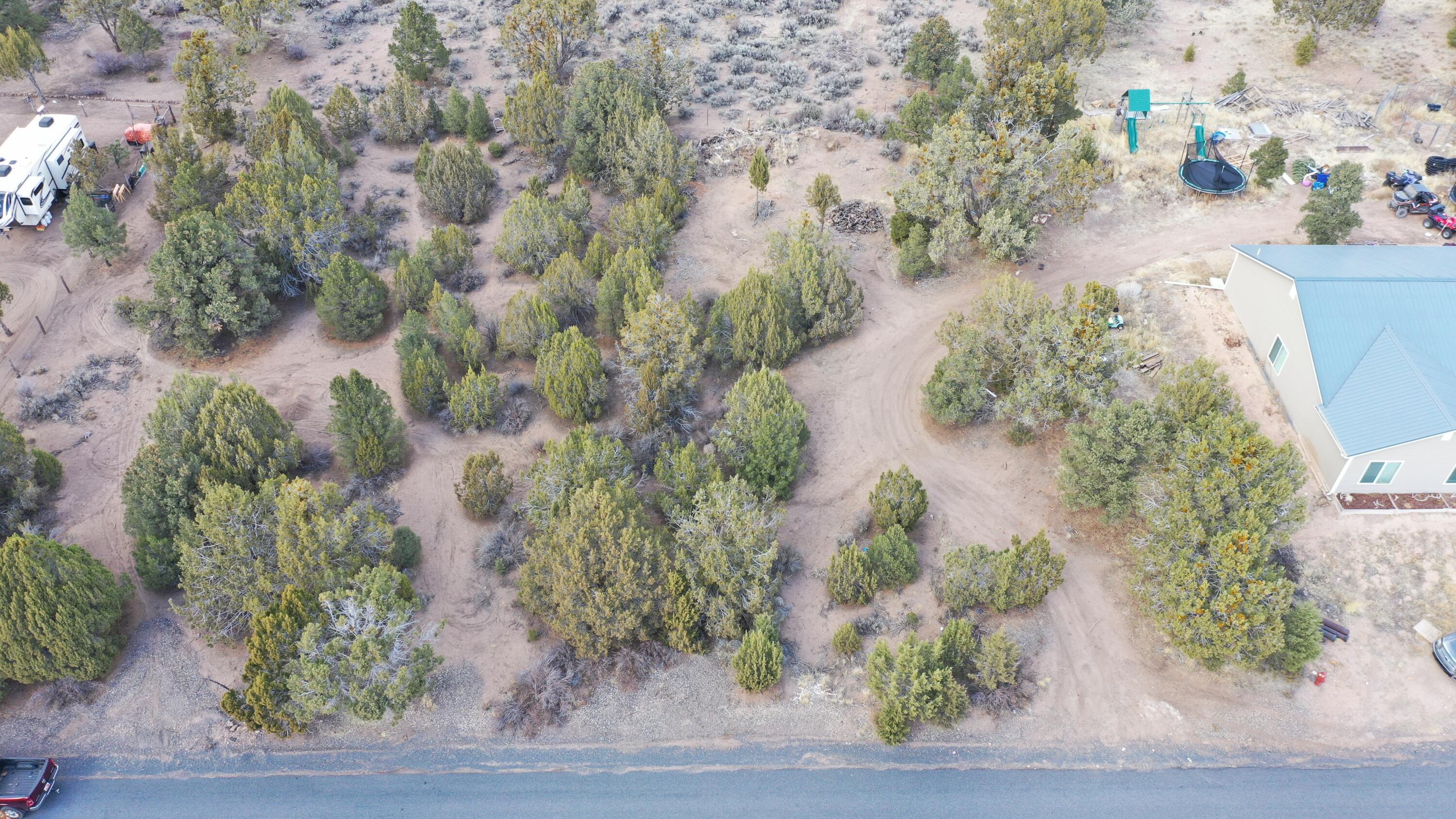 No HOA. Forest Boundary Lot. These are extremely rare for Central. Never have to worry about someone building in your back yard. Enjoy direct access to public lands. Lot is 100x150'. Power is next door. Water is in the street. Recently chip sealed main road. Enjoy all the outdoors has to offer.